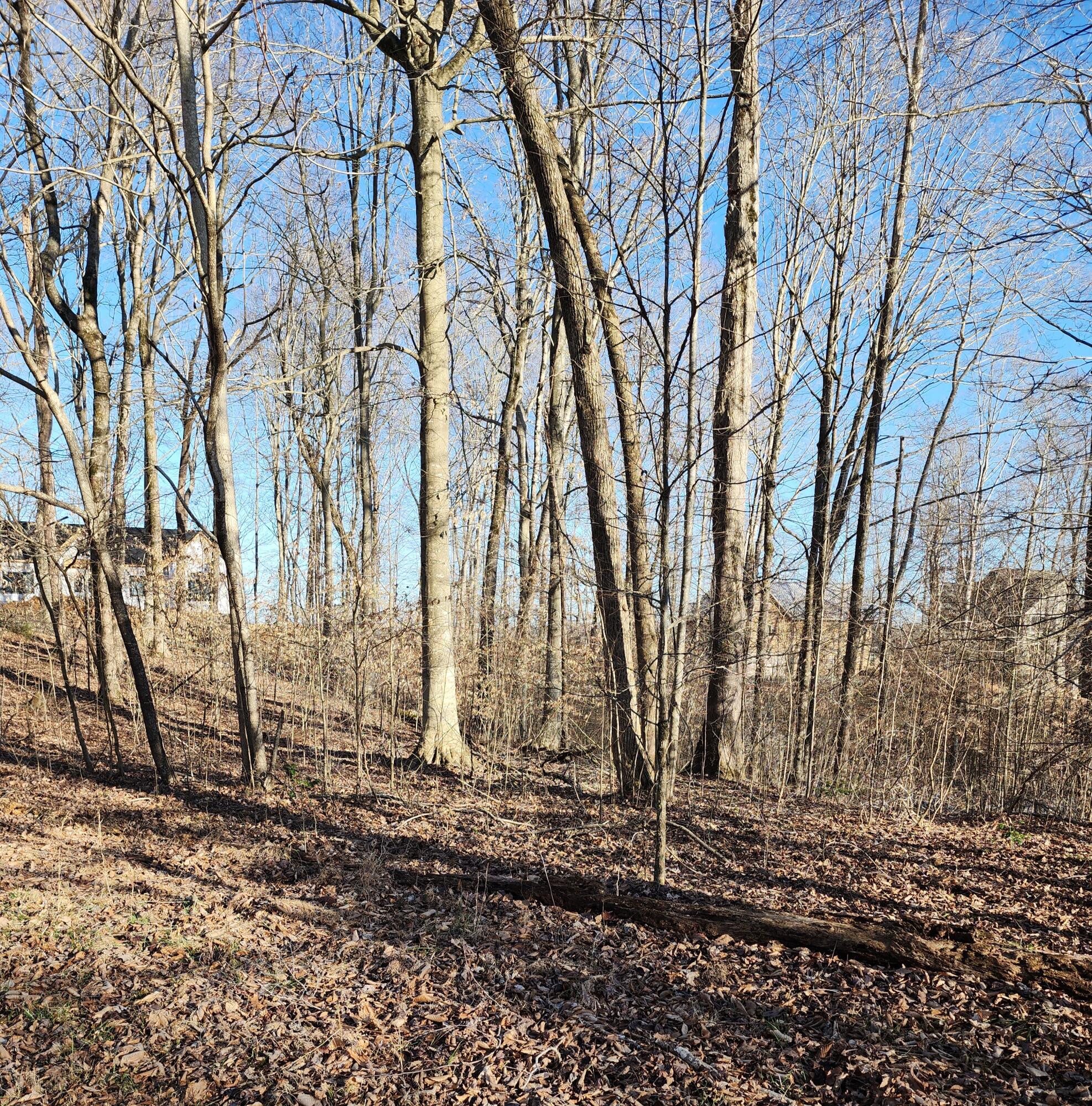 620 Griffin Trail Property Photo 23
