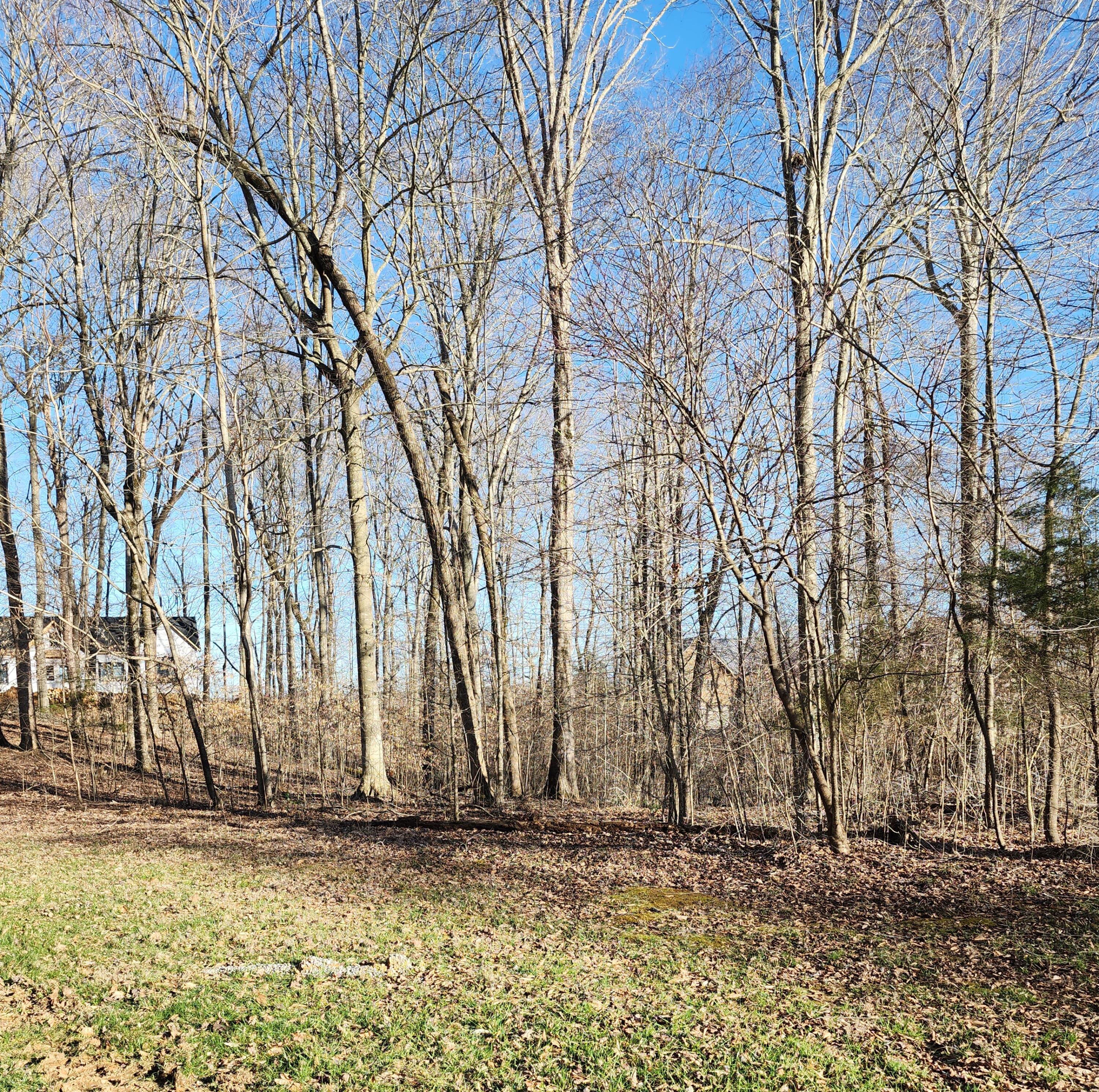 620 Griffin Trail Property Photo 24