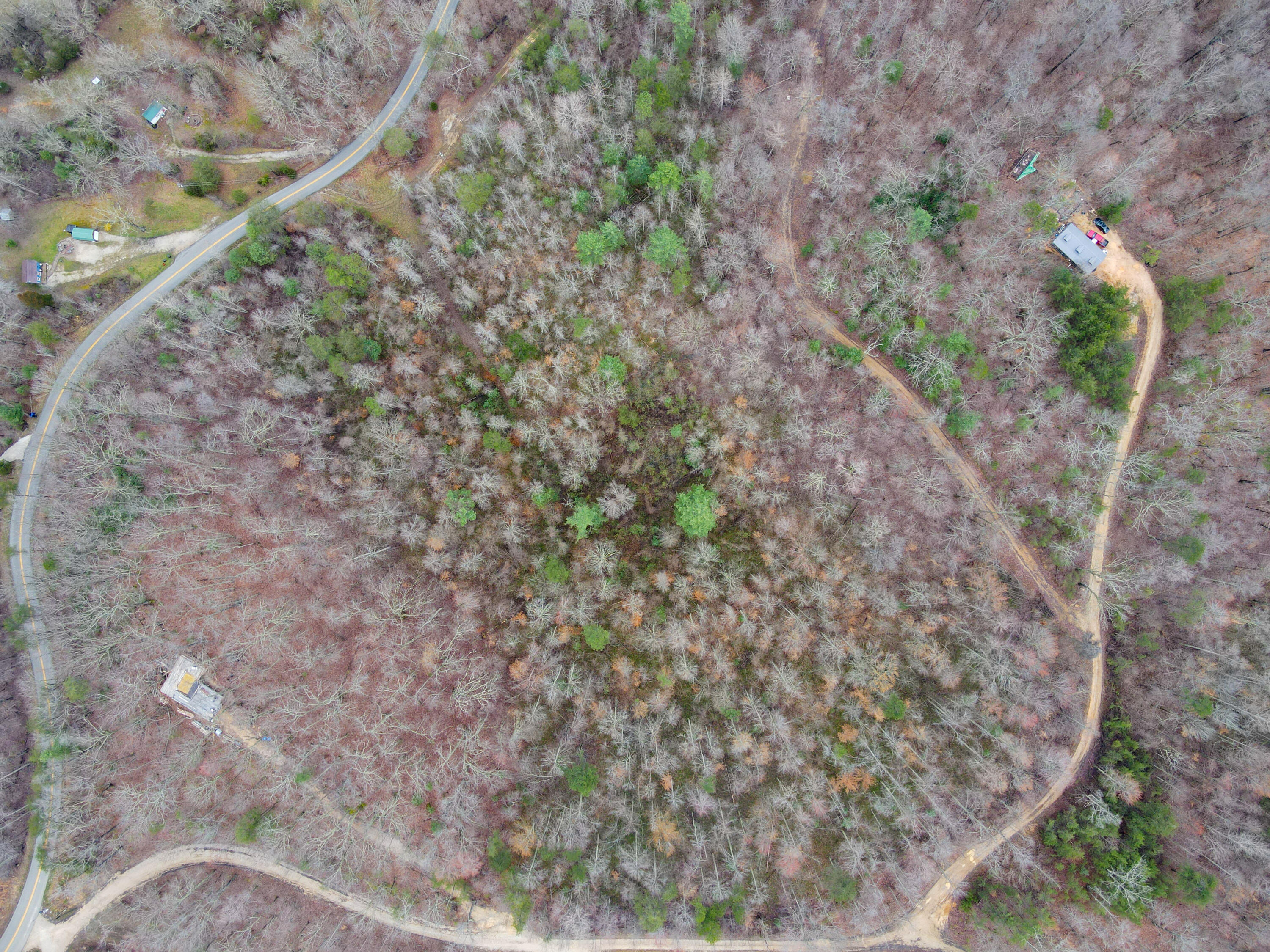1337 High Rock Road Property Photo 3