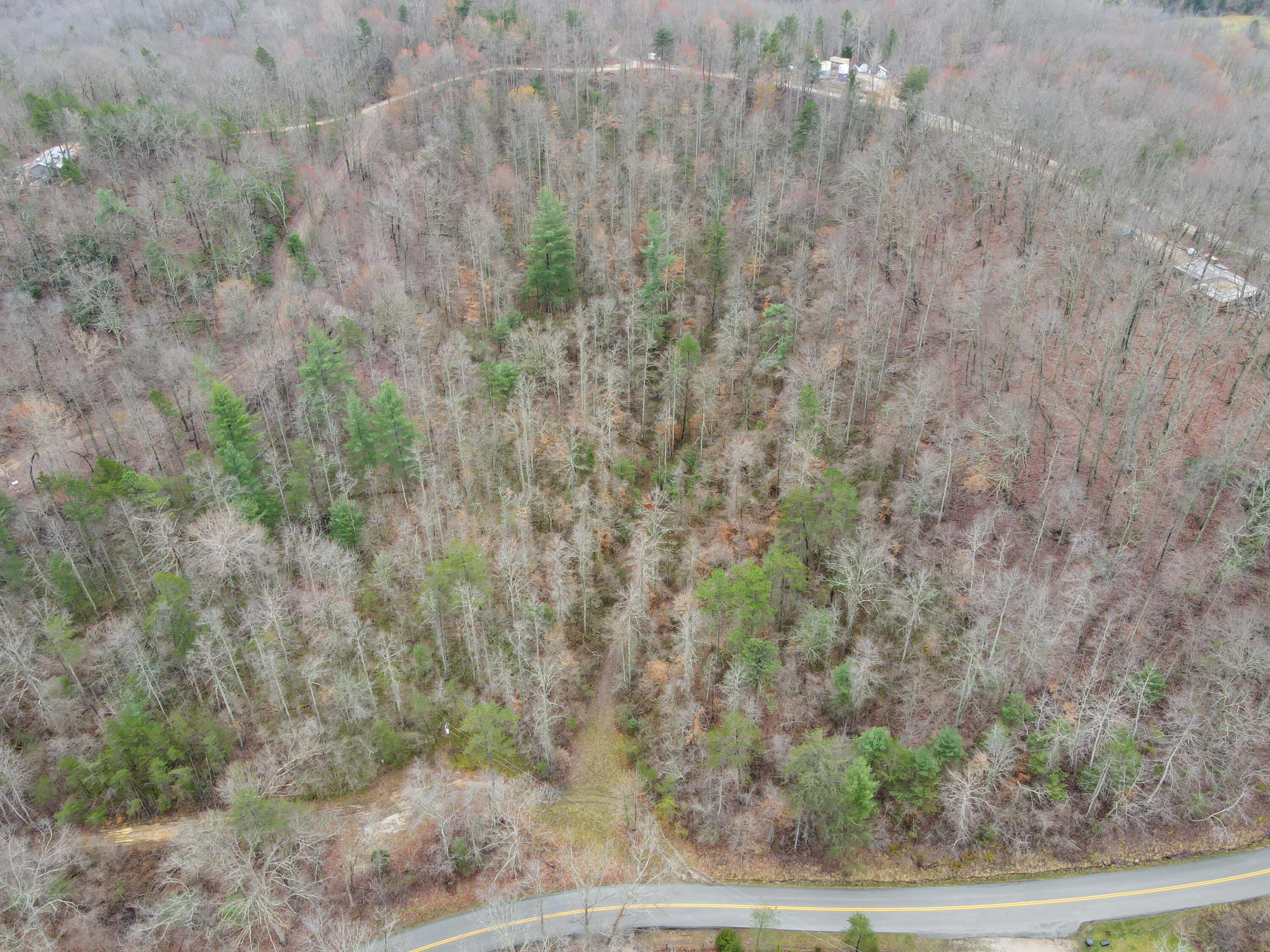 1337 High Rock Road Property Photo 8