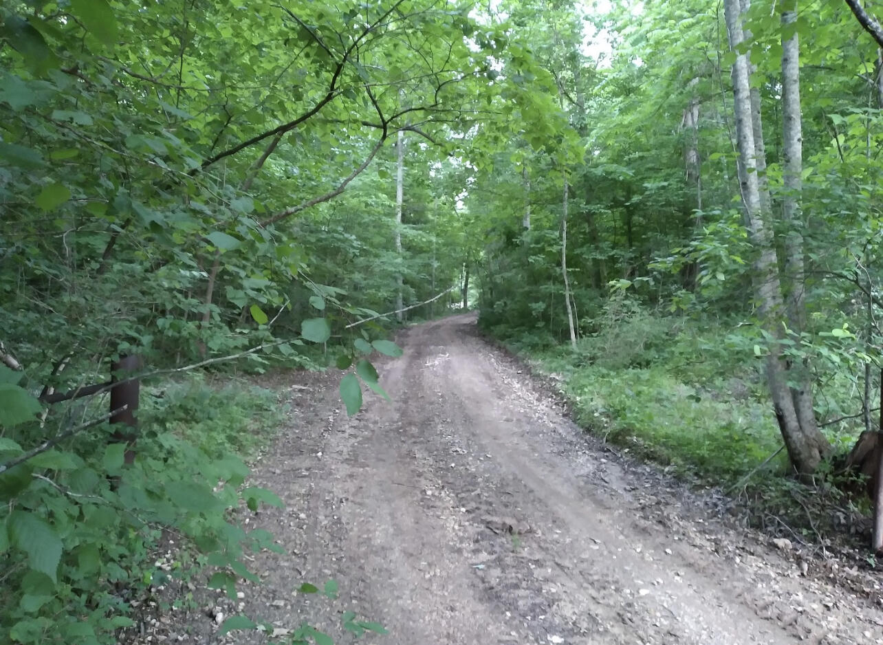 1737 High Rock Road Property Photo 5