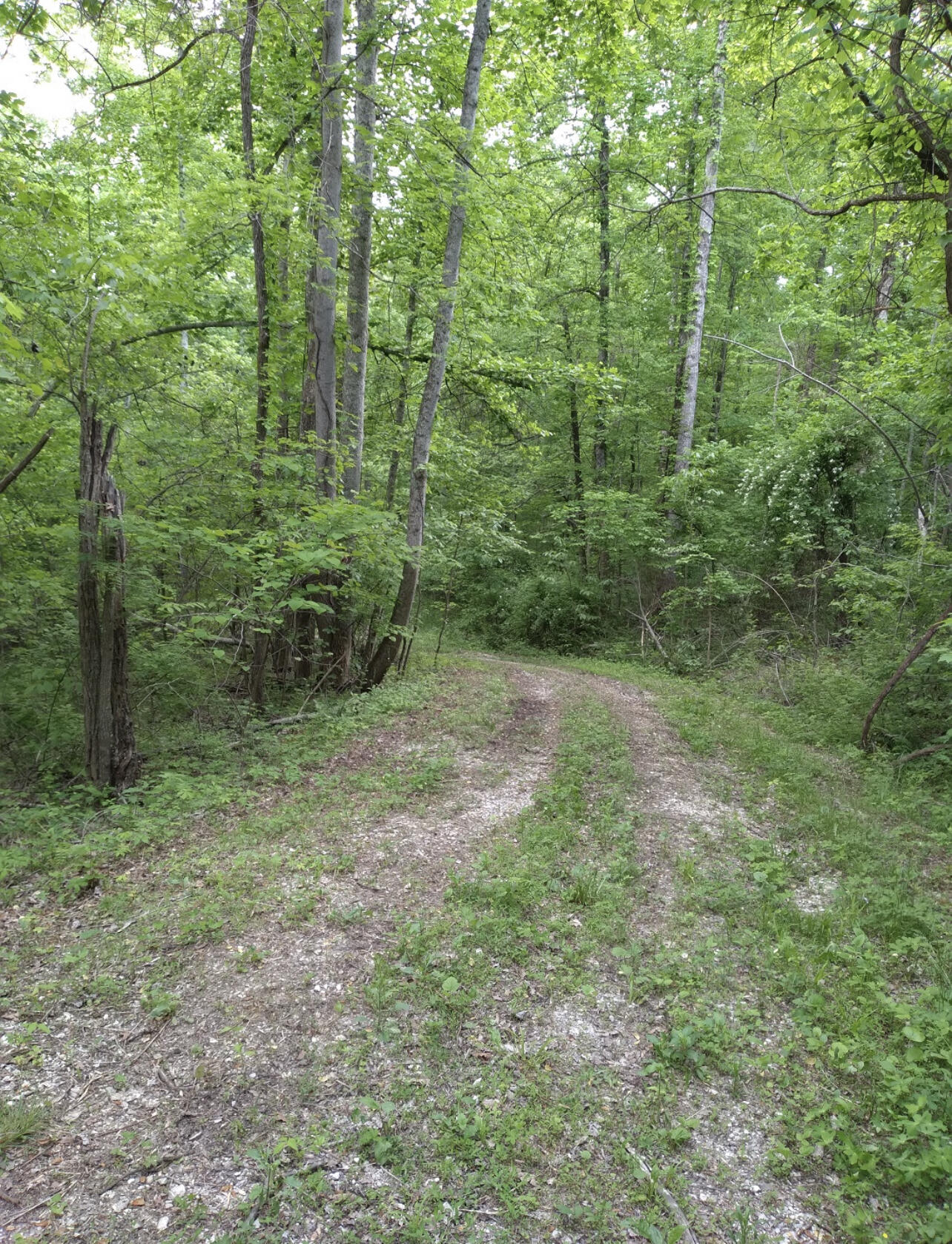 1737b High Rock Road Property Photo 5