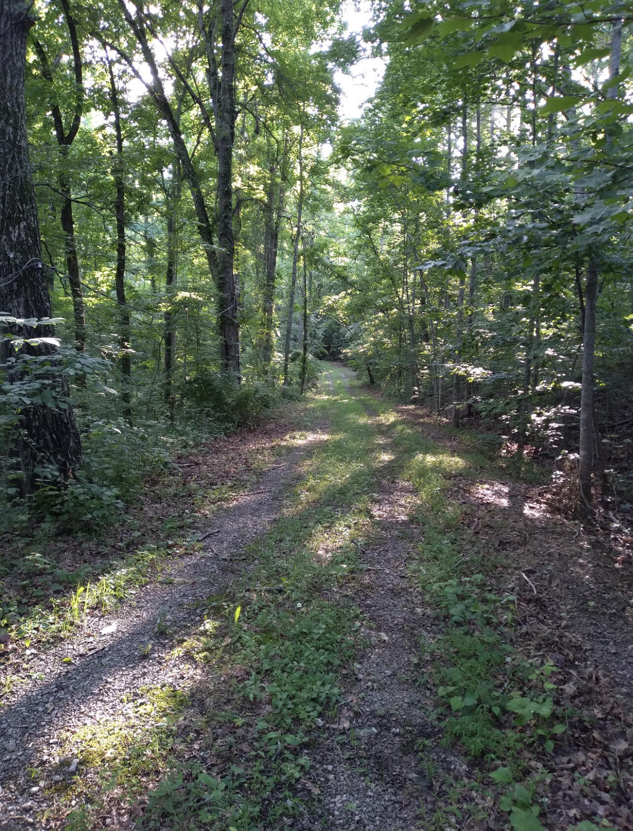 1737b High Rock Road Property Photo 7
