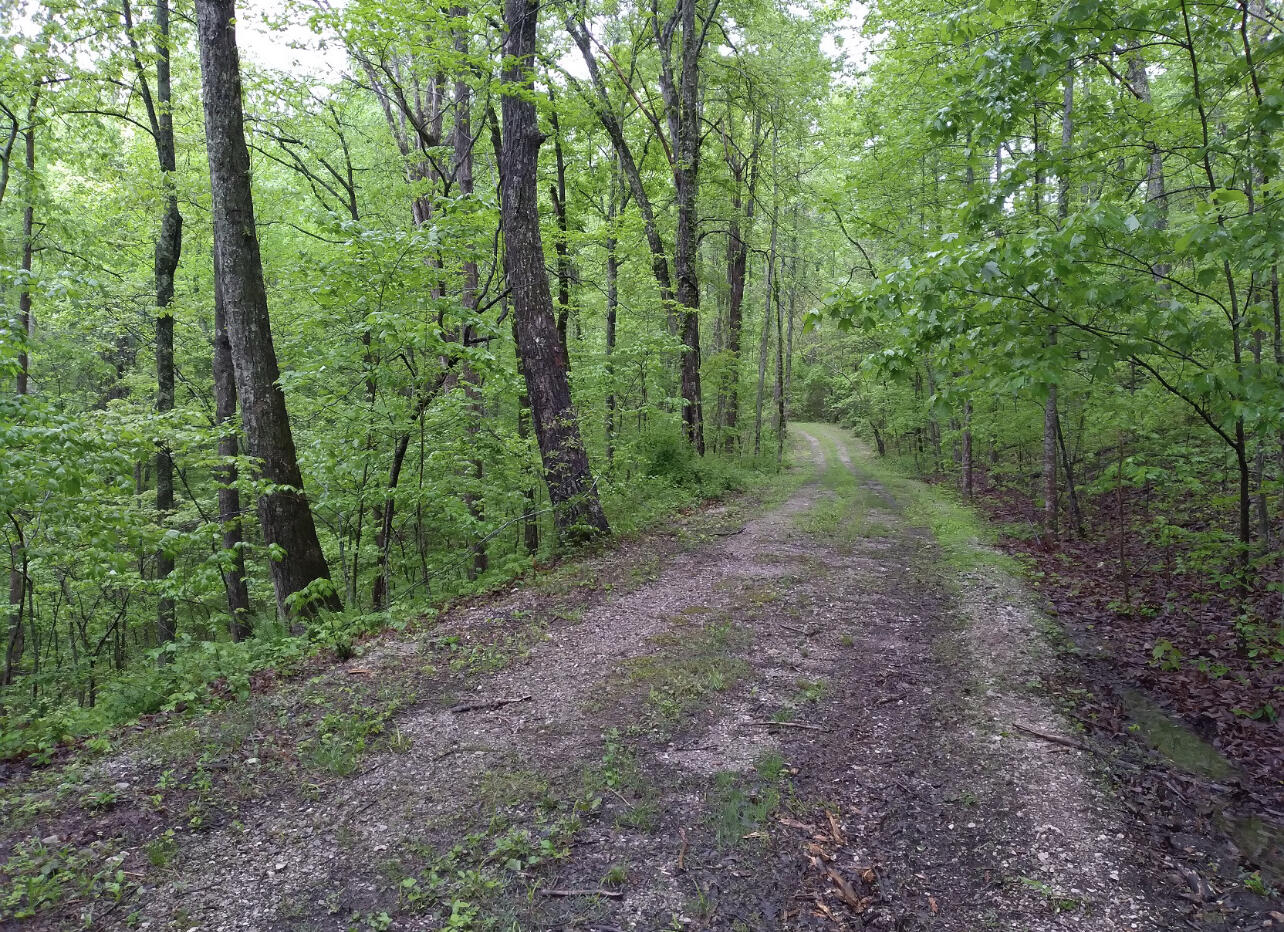 1737c High Rock Road Property Photo 4