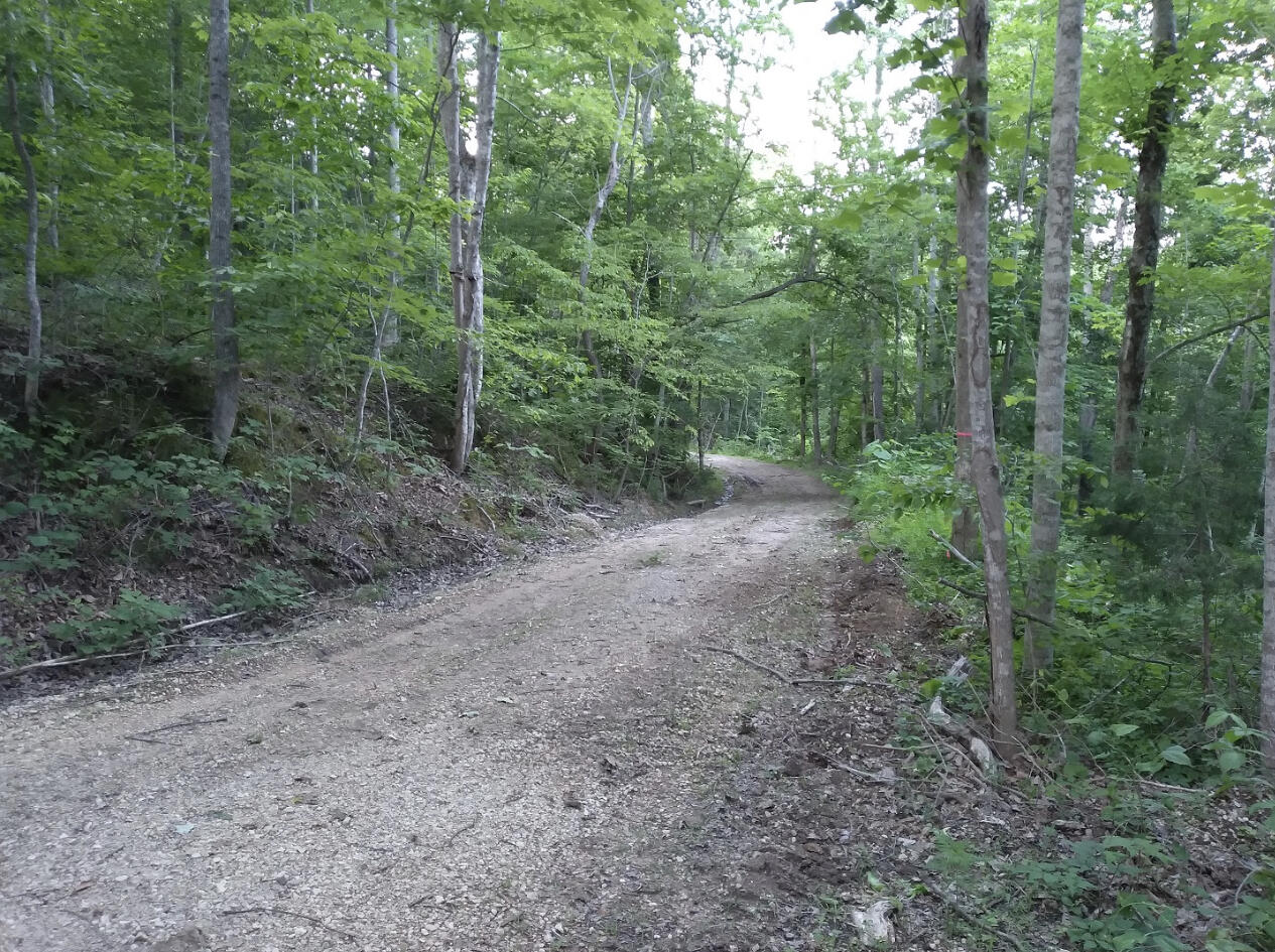1737c High Rock Road Property Photo 6