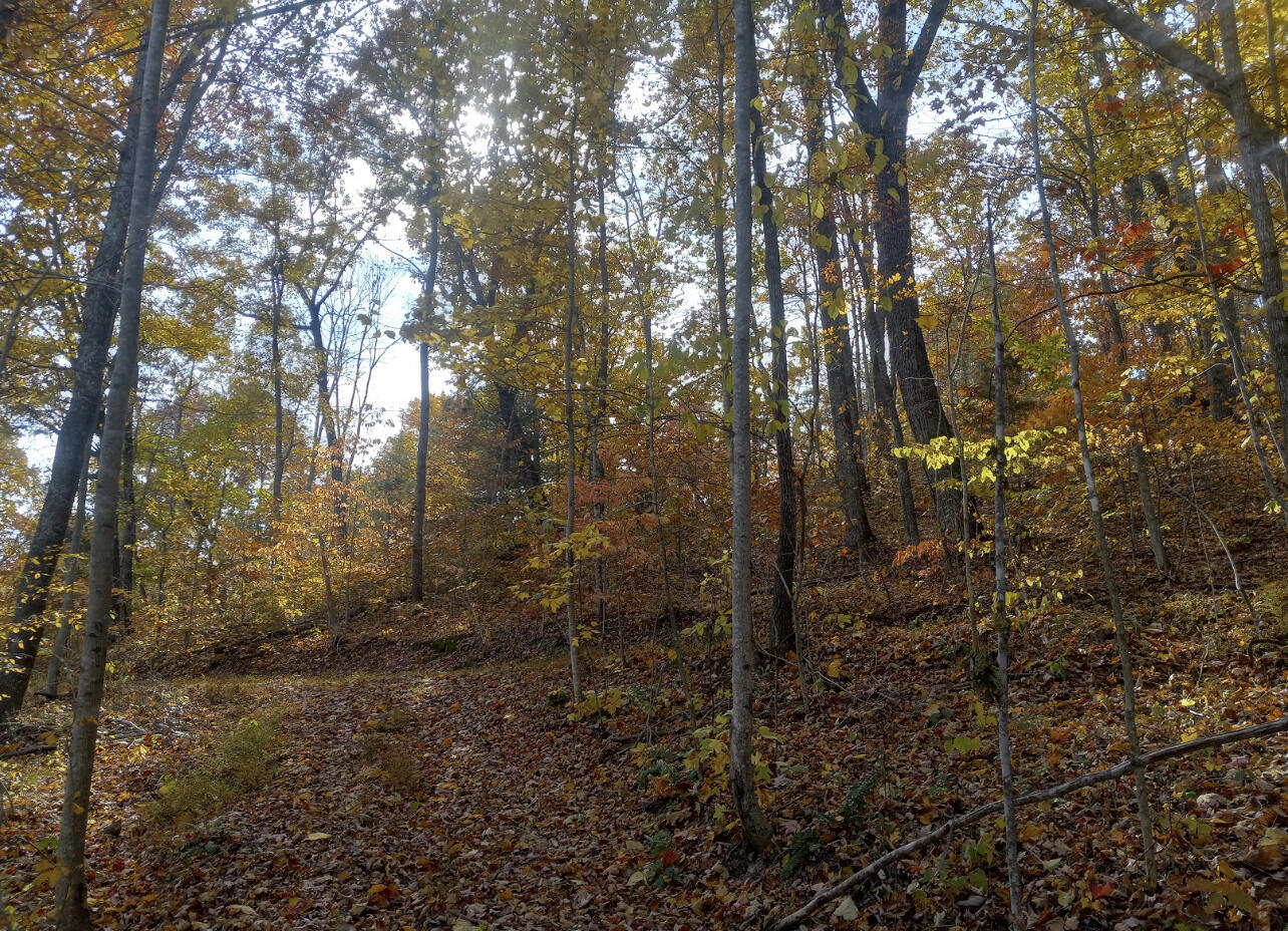 1737c High Rock Road Property Photo 8