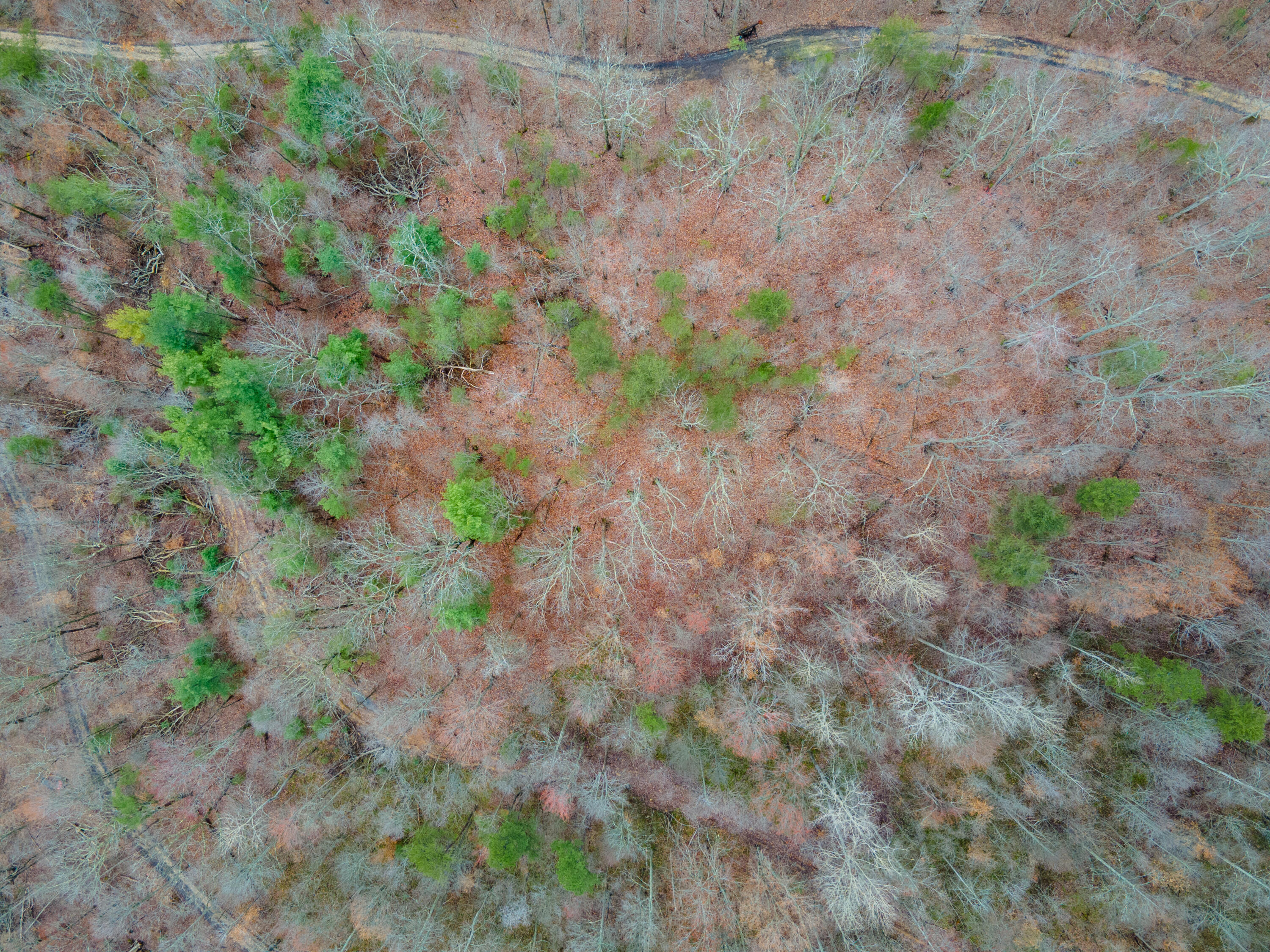 1237m High Rock Road Property Photo 1