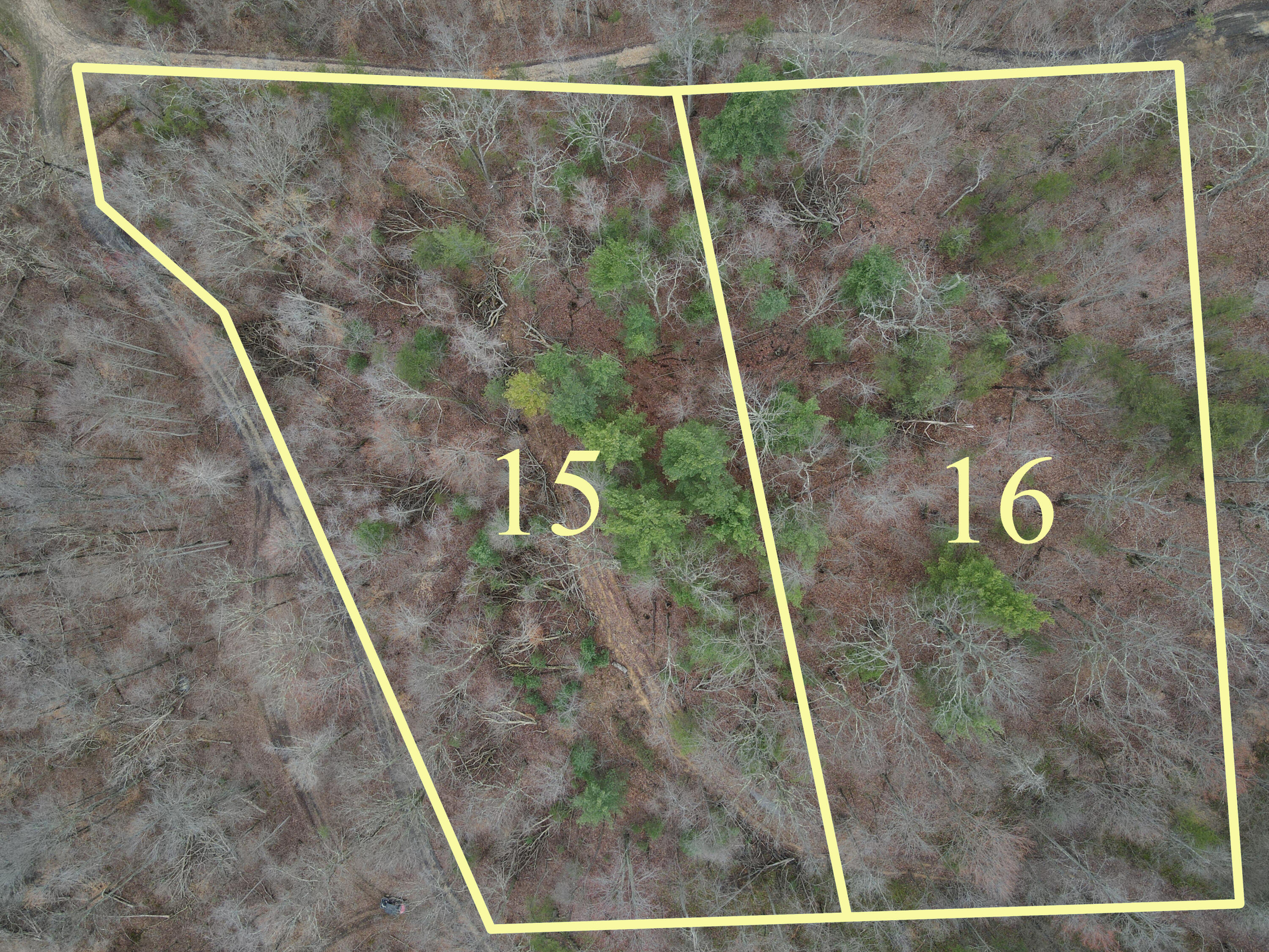 1237m High Rock Road Property Photo 2