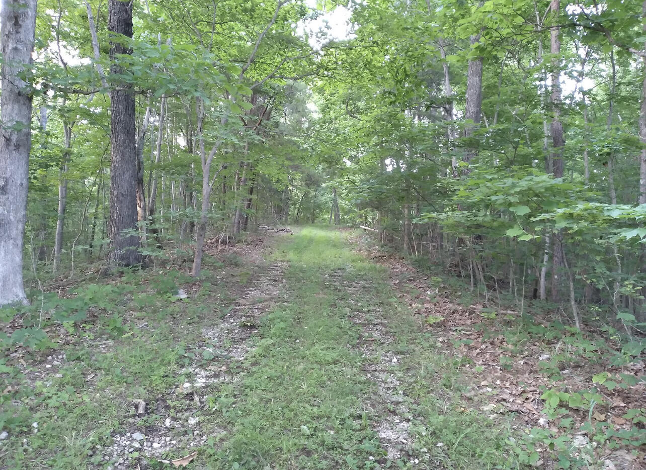 1237m High Rock Road Property Photo 3