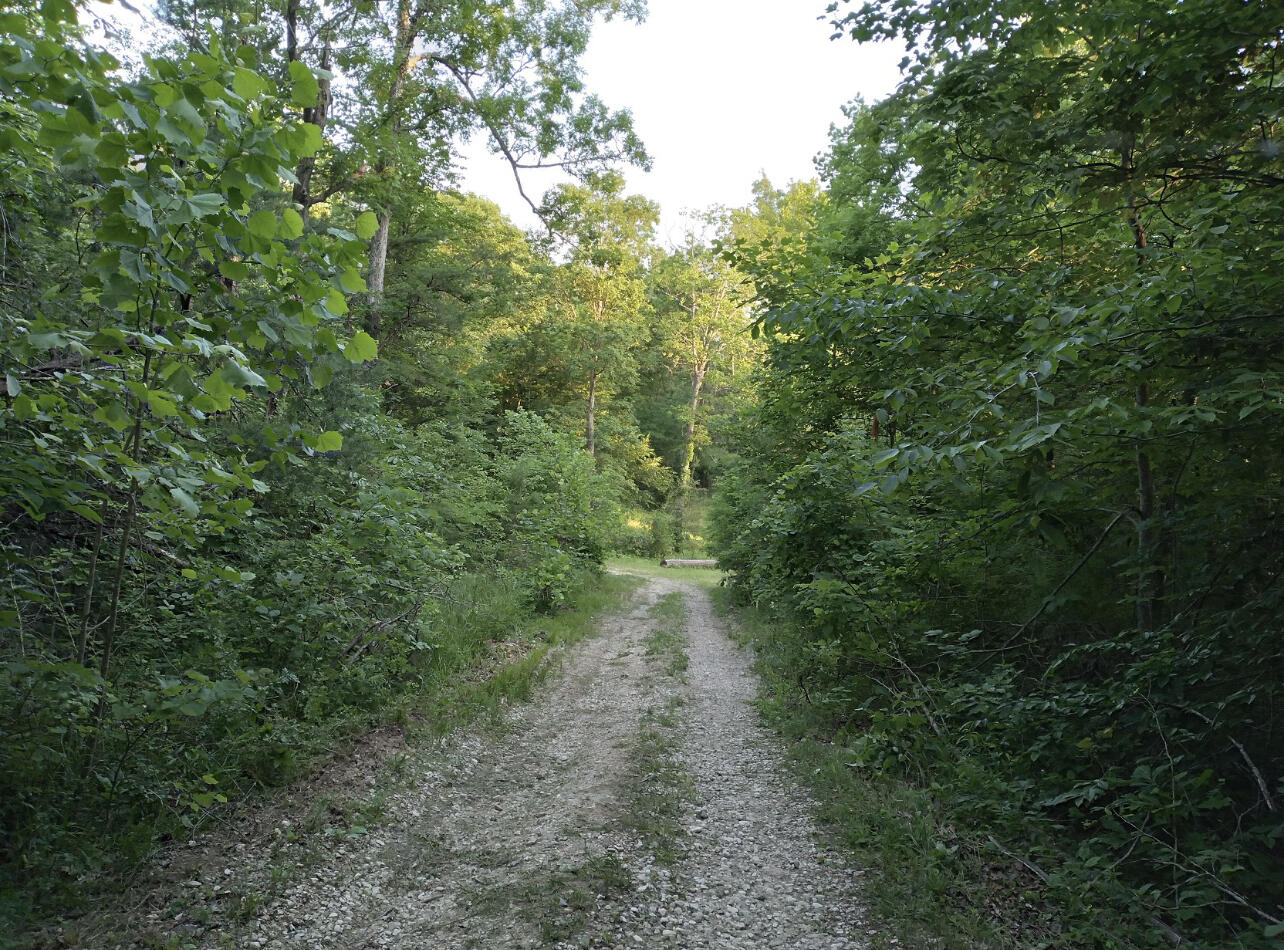 1237m High Rock Road Property Photo 4