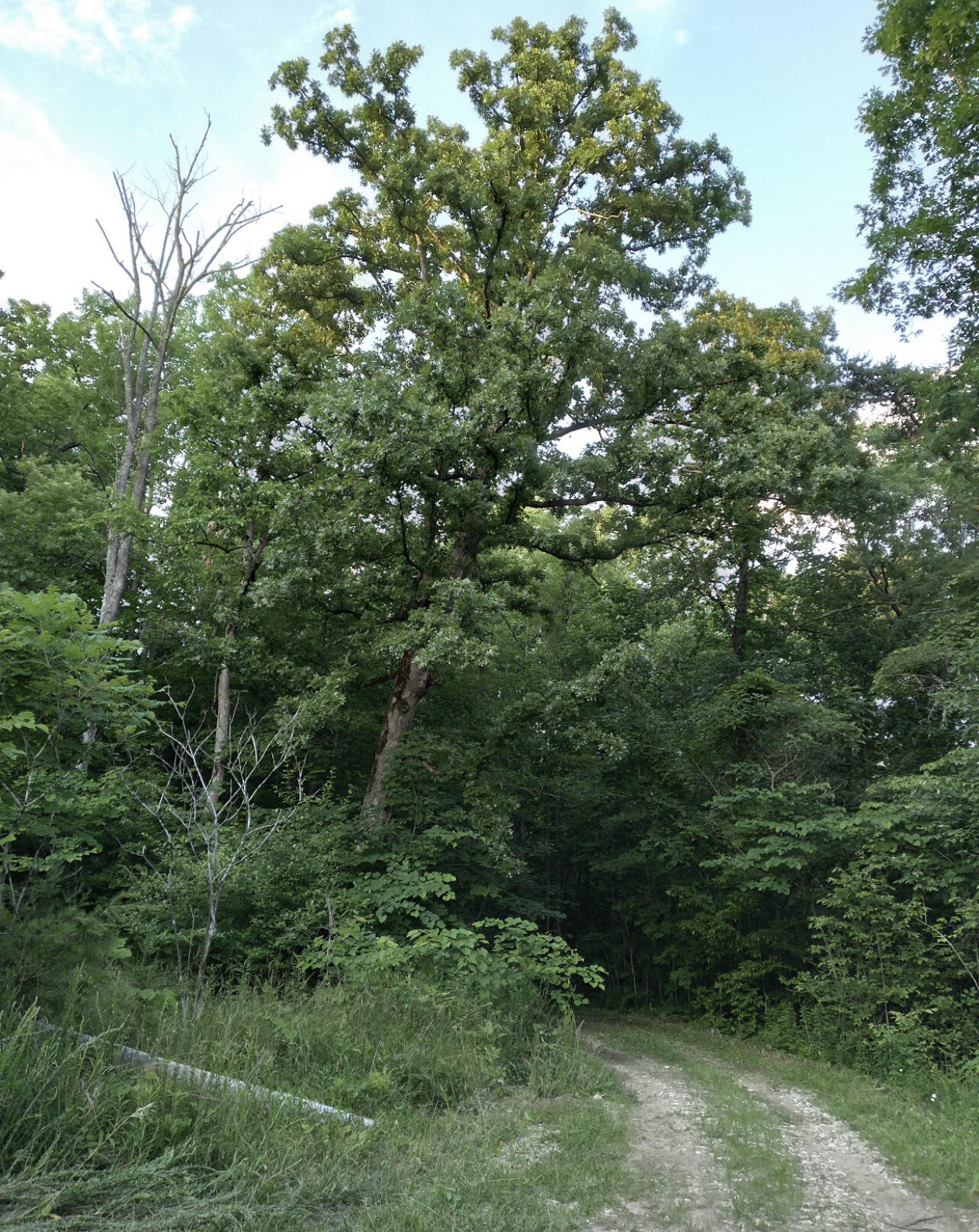 1237m High Rock Road Property Photo 5
