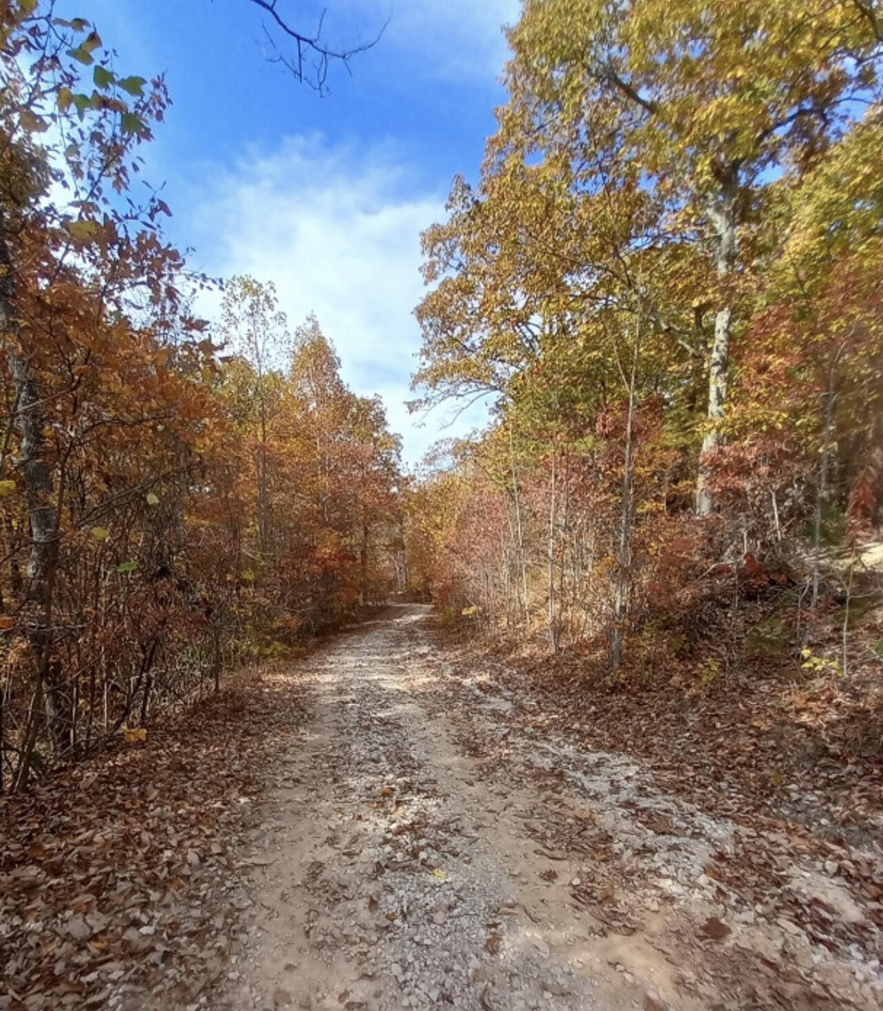 1237m High Rock Road Property Photo 6