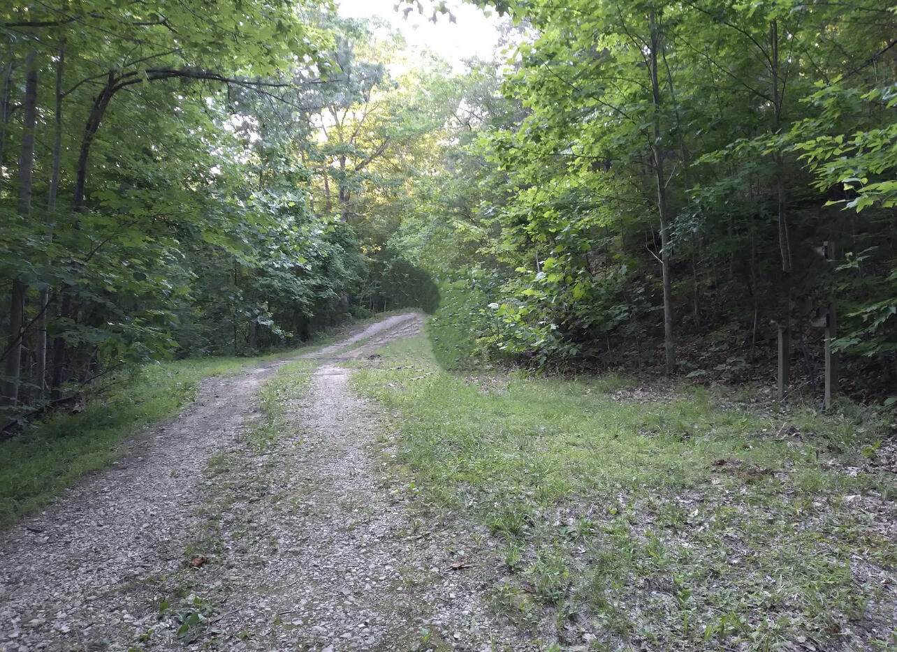 1237l High Rock Road Property Photo 3