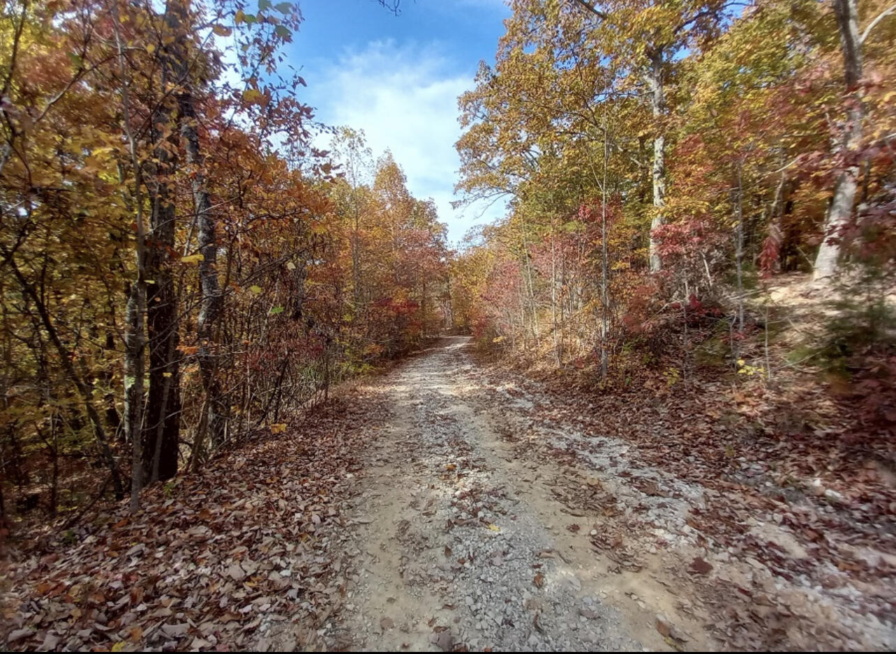 1237l High Rock Road Property Photo 5