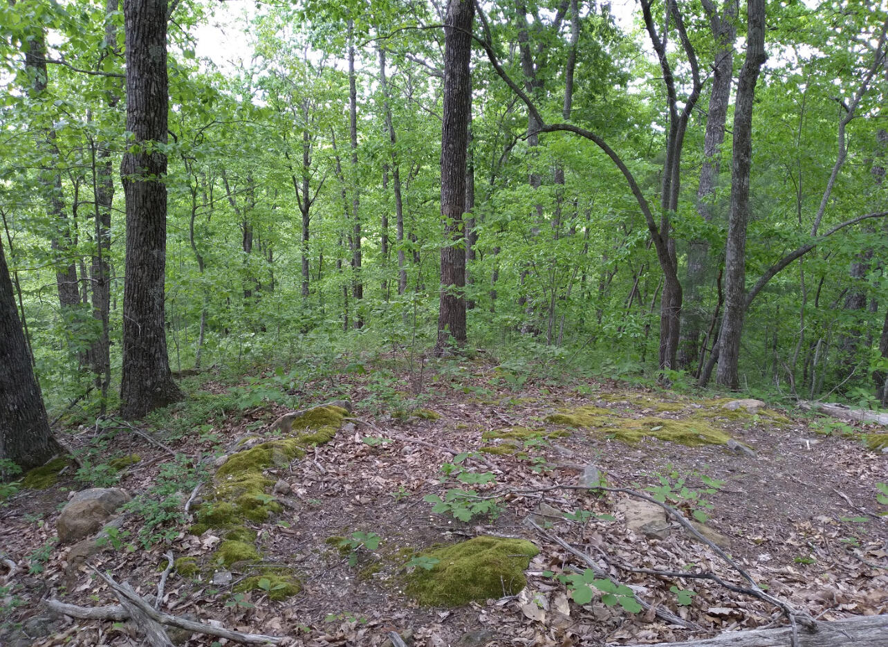1237j High Rock Road Property Photo 2