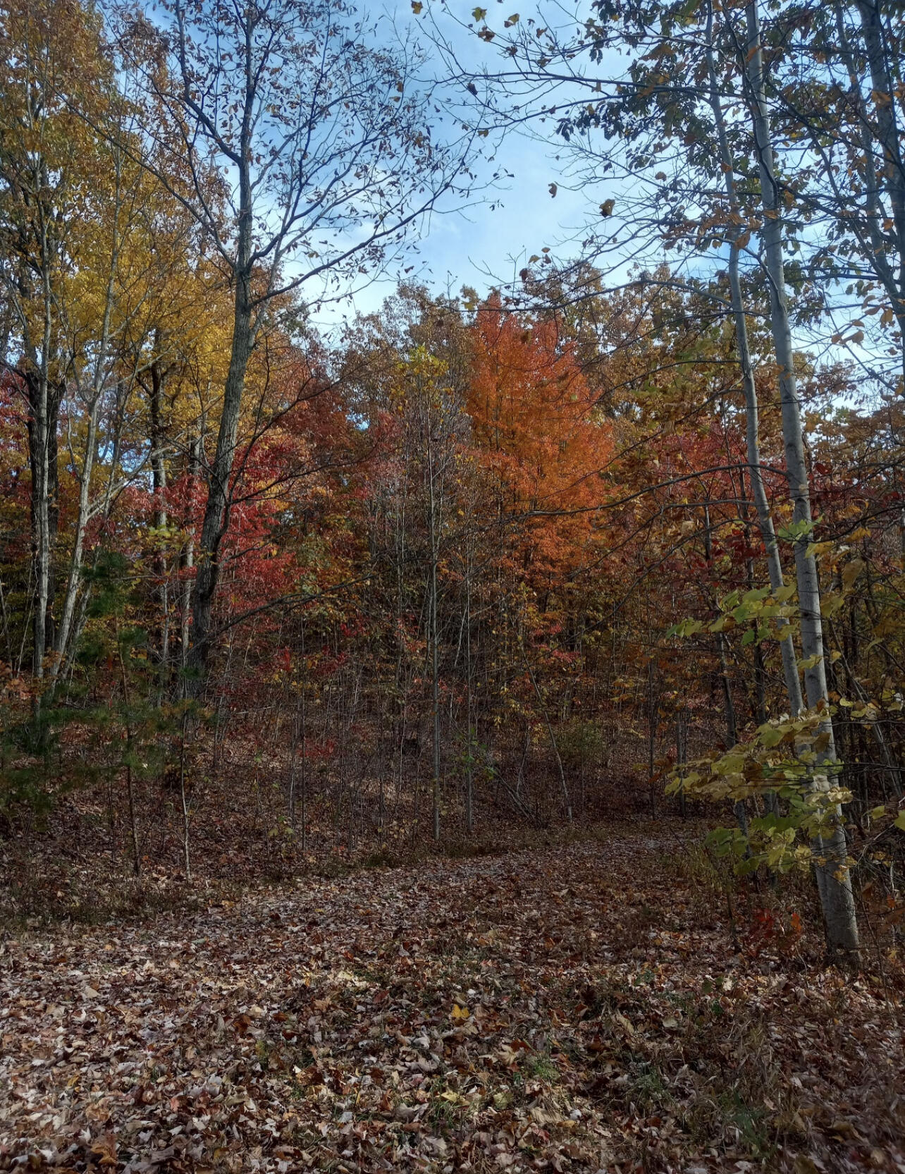 1237j High Rock Road Property Photo 3