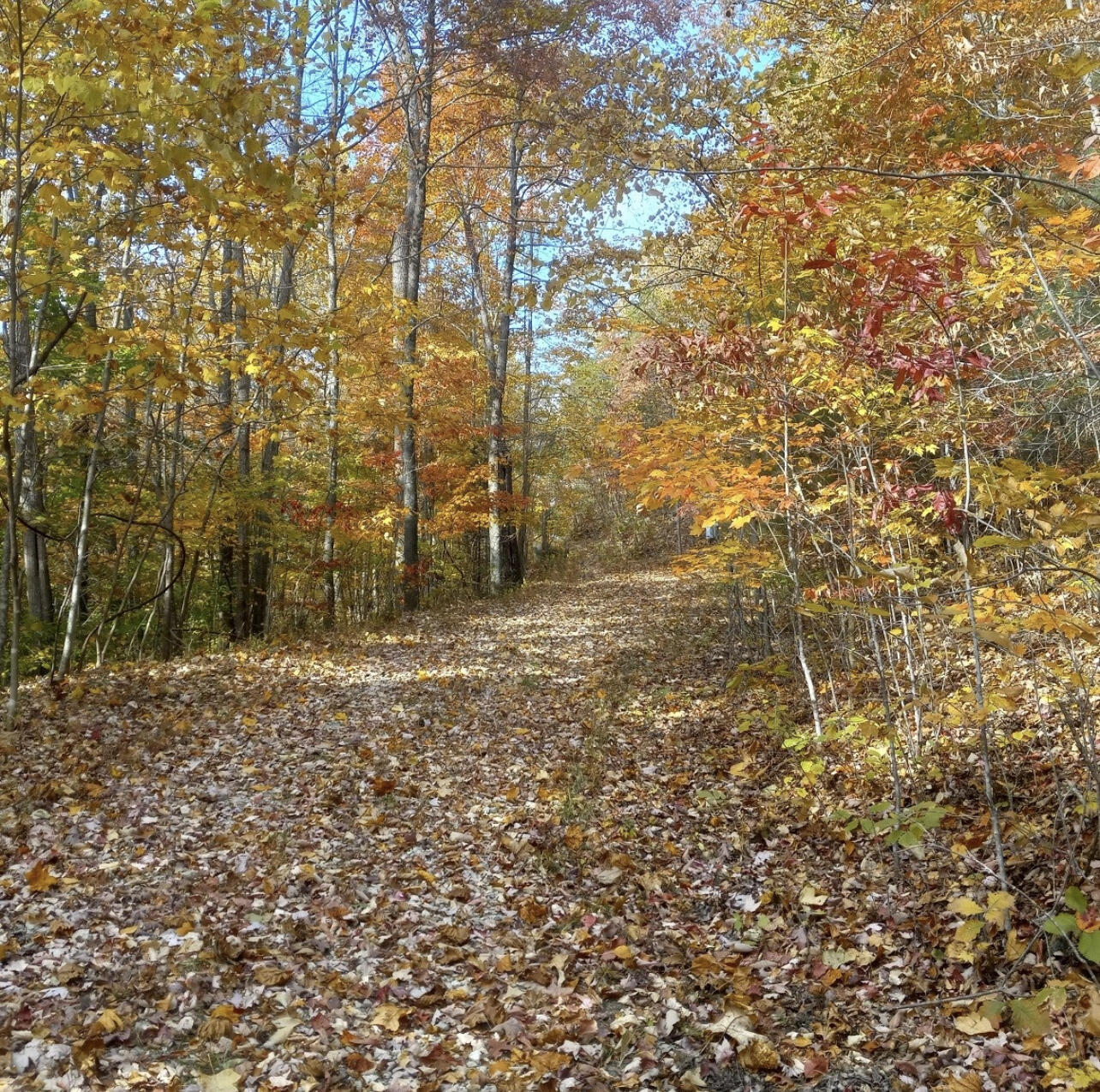 1237i High Rock Road Property Photo 3