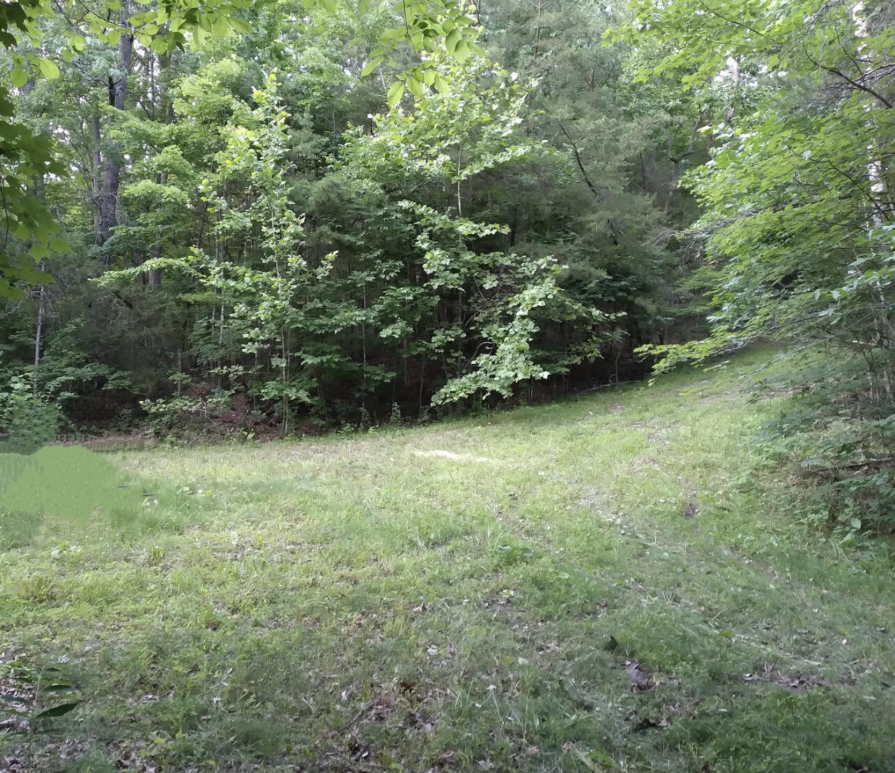 1237g High Rock Road Property Photo 2
