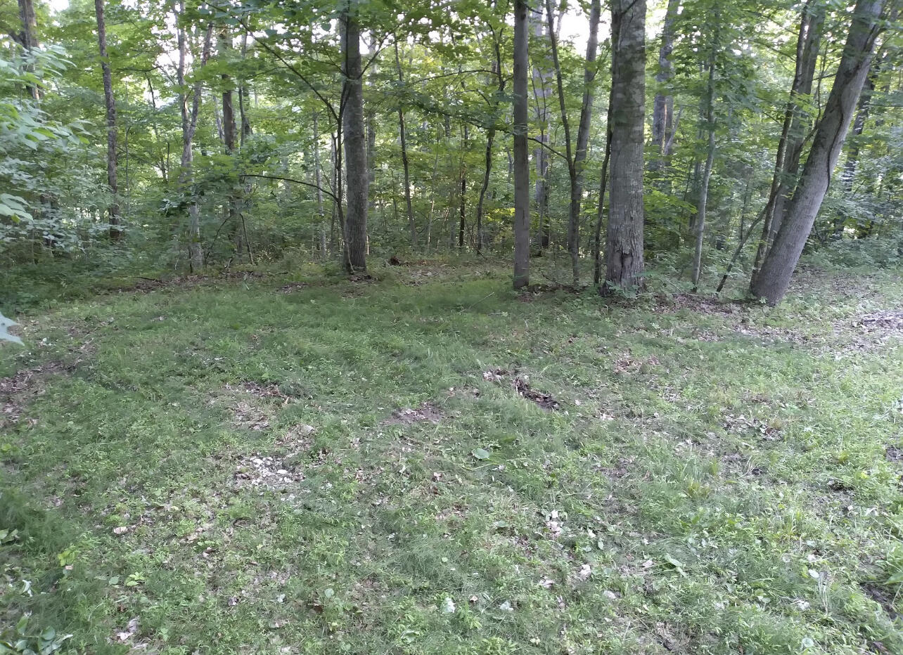 1237g High Rock Road Property Photo 3