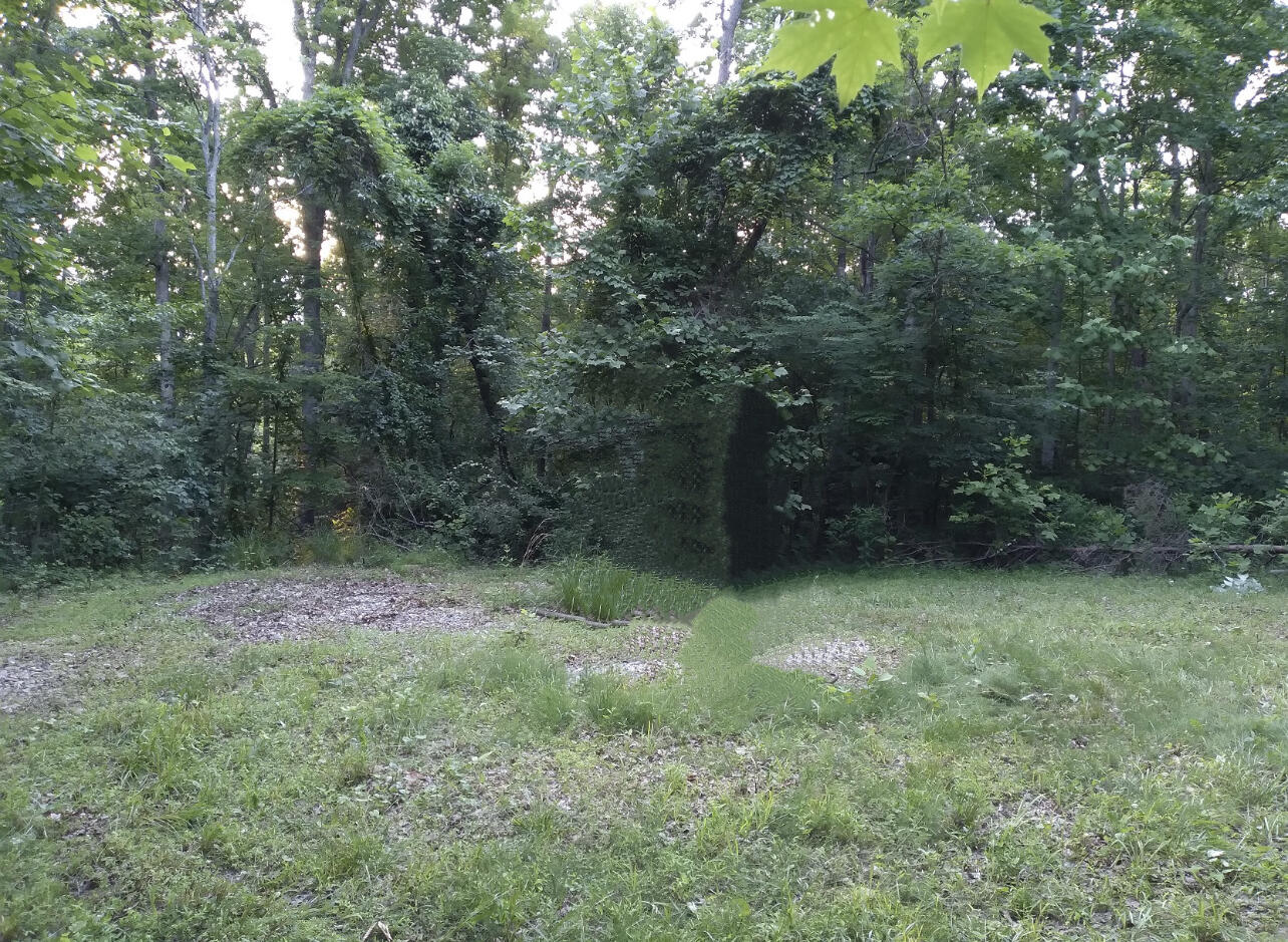 1237g High Rock Road Property Photo 4