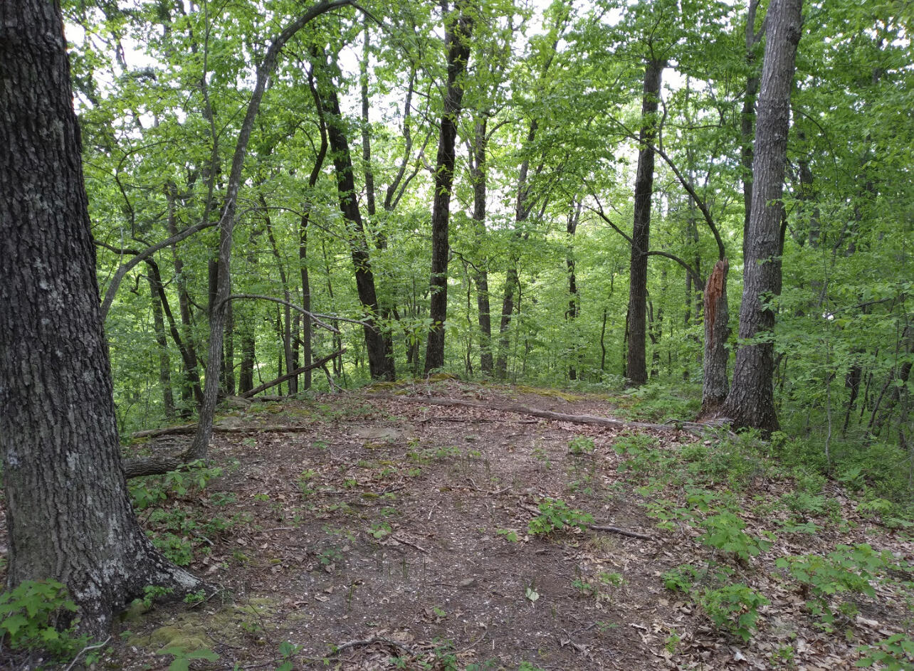 1237f High Rock Road Property Photo 2
