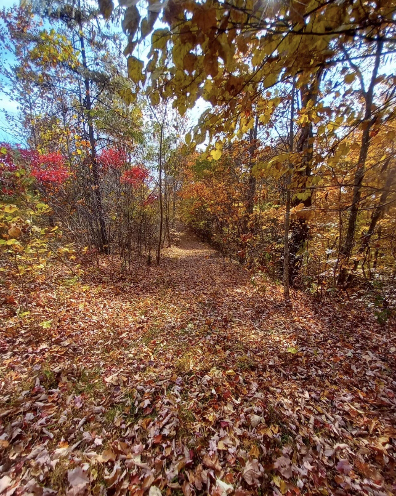 1237f High Rock Road Property Photo 3