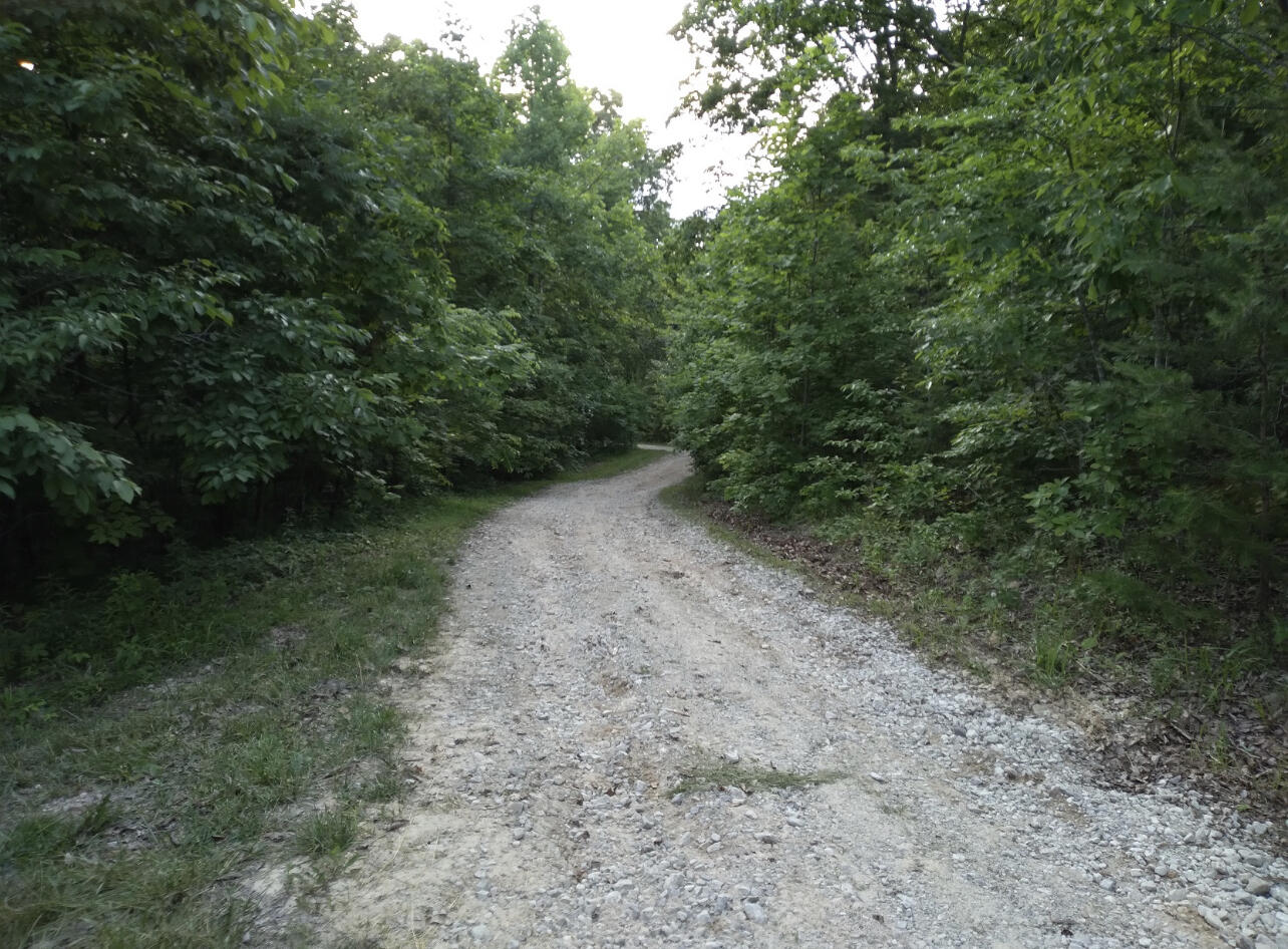 1237e High Rock Road Property Photo 3