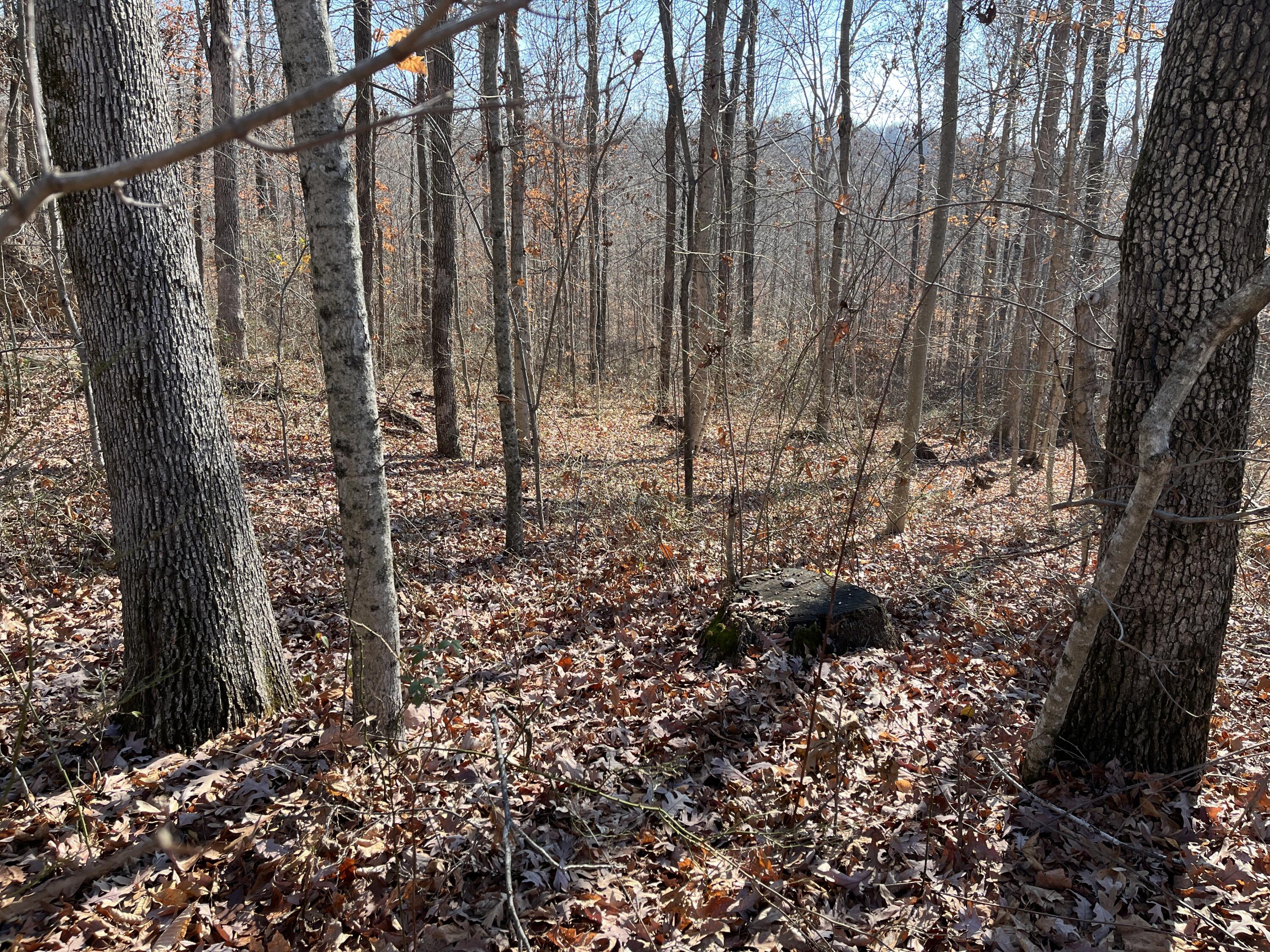 2a Riverside Benleo Road Property Photo 7