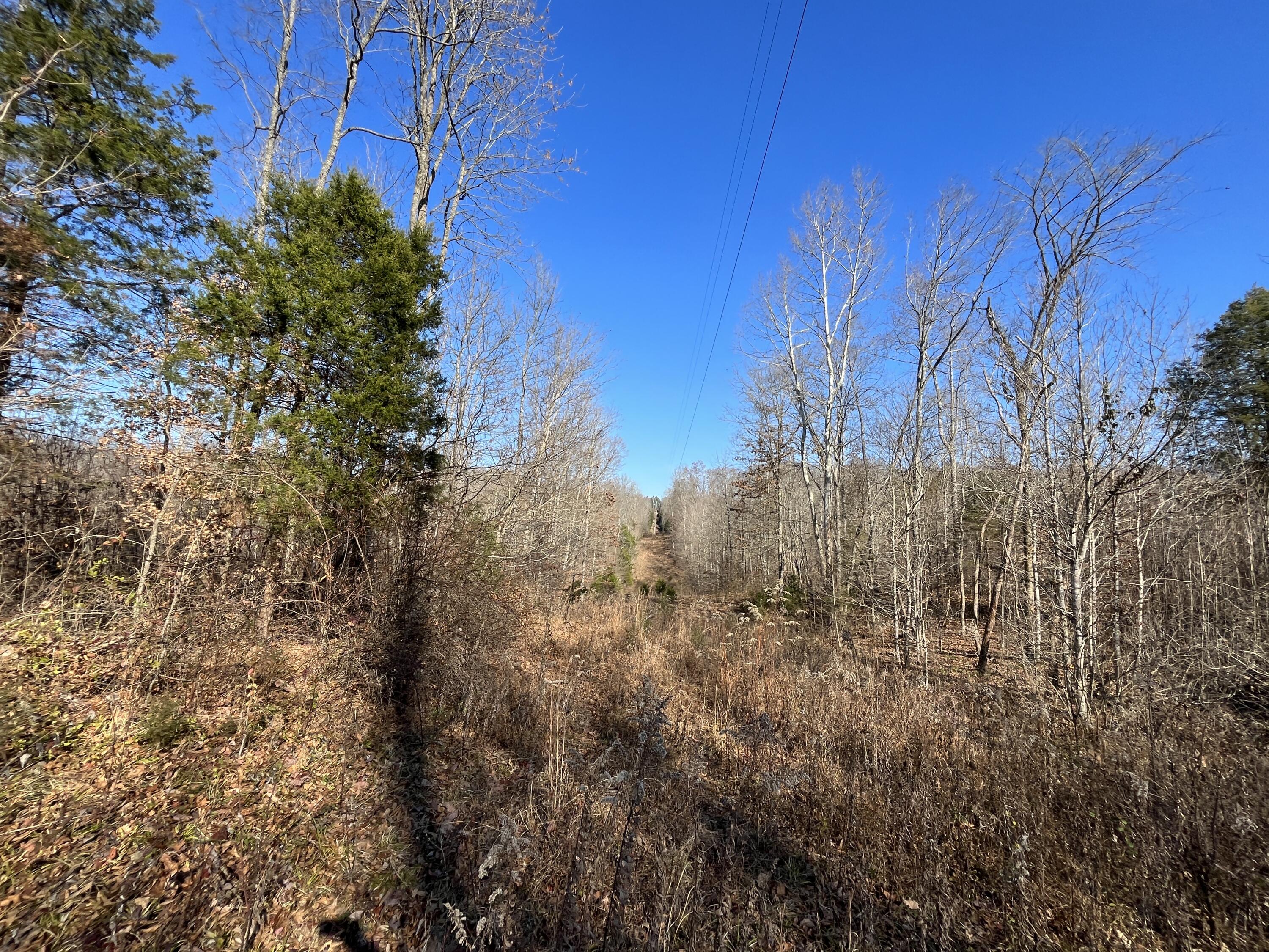 2a Riverside Benleo Road Property Photo 8