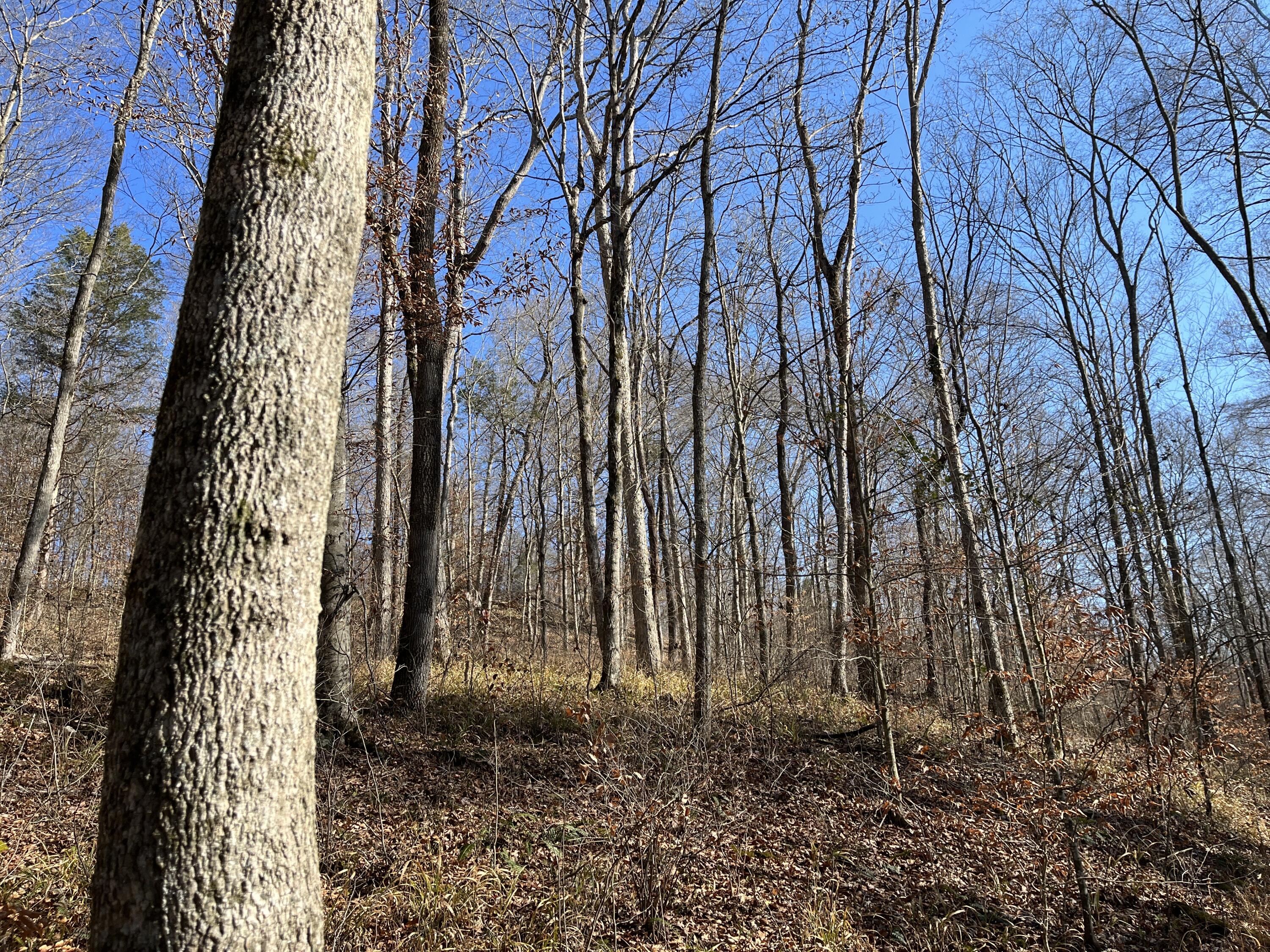 2a Riverside Benleo Road Property Photo 9