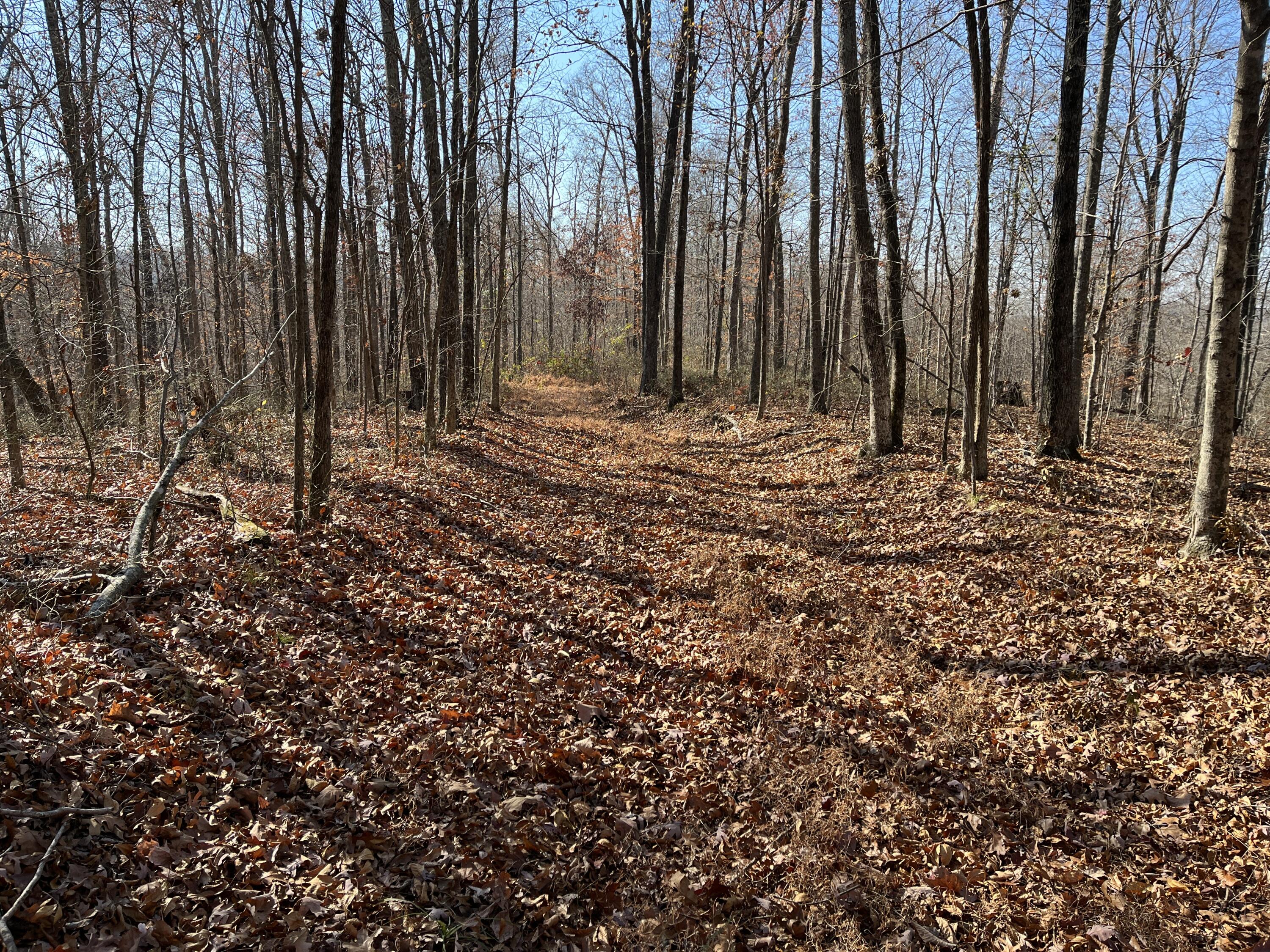 2a Riverside Benleo Road Property Photo 10