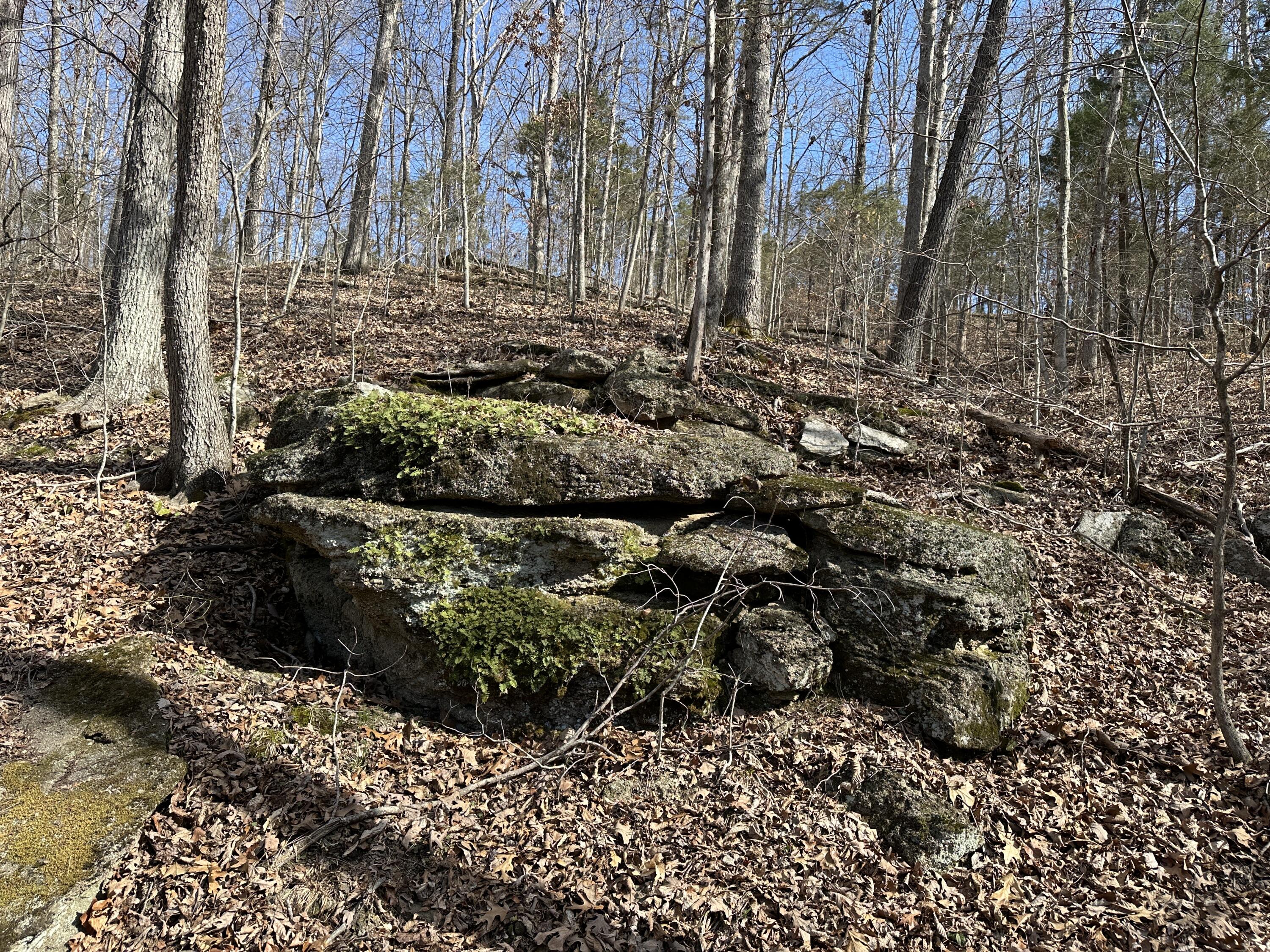 2a Riverside Benleo Road Property Photo 11