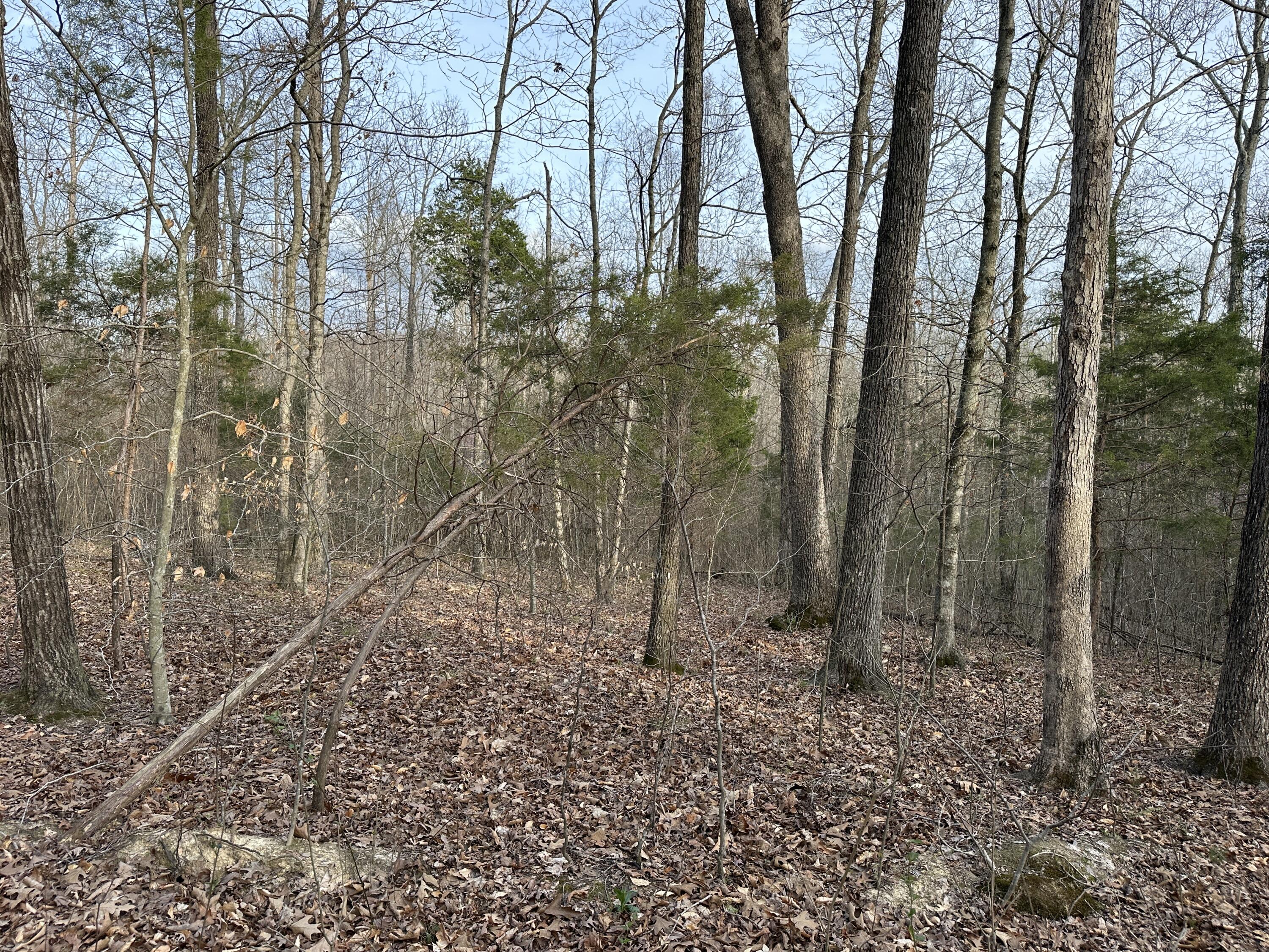 2a Riverside Benleo Road Property Photo 12