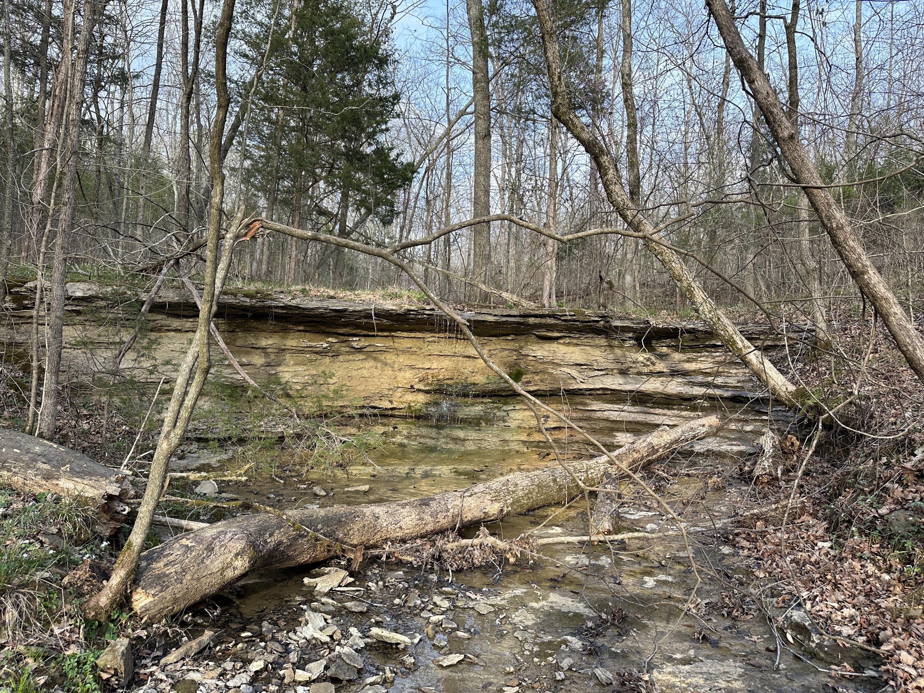 2a Riverside Benleo Road Property Photo 14