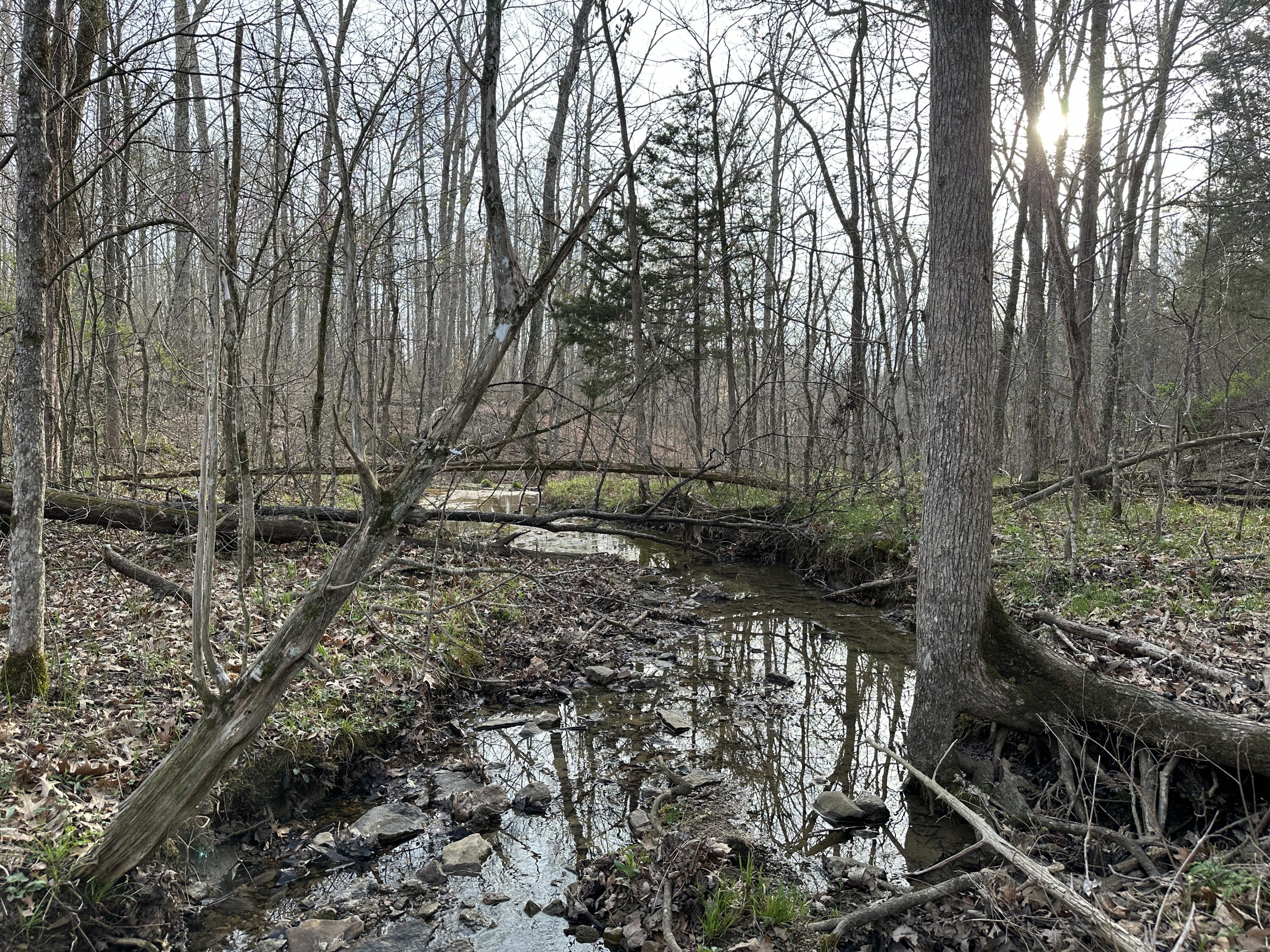 2a Riverside Benleo Road Property Photo 15