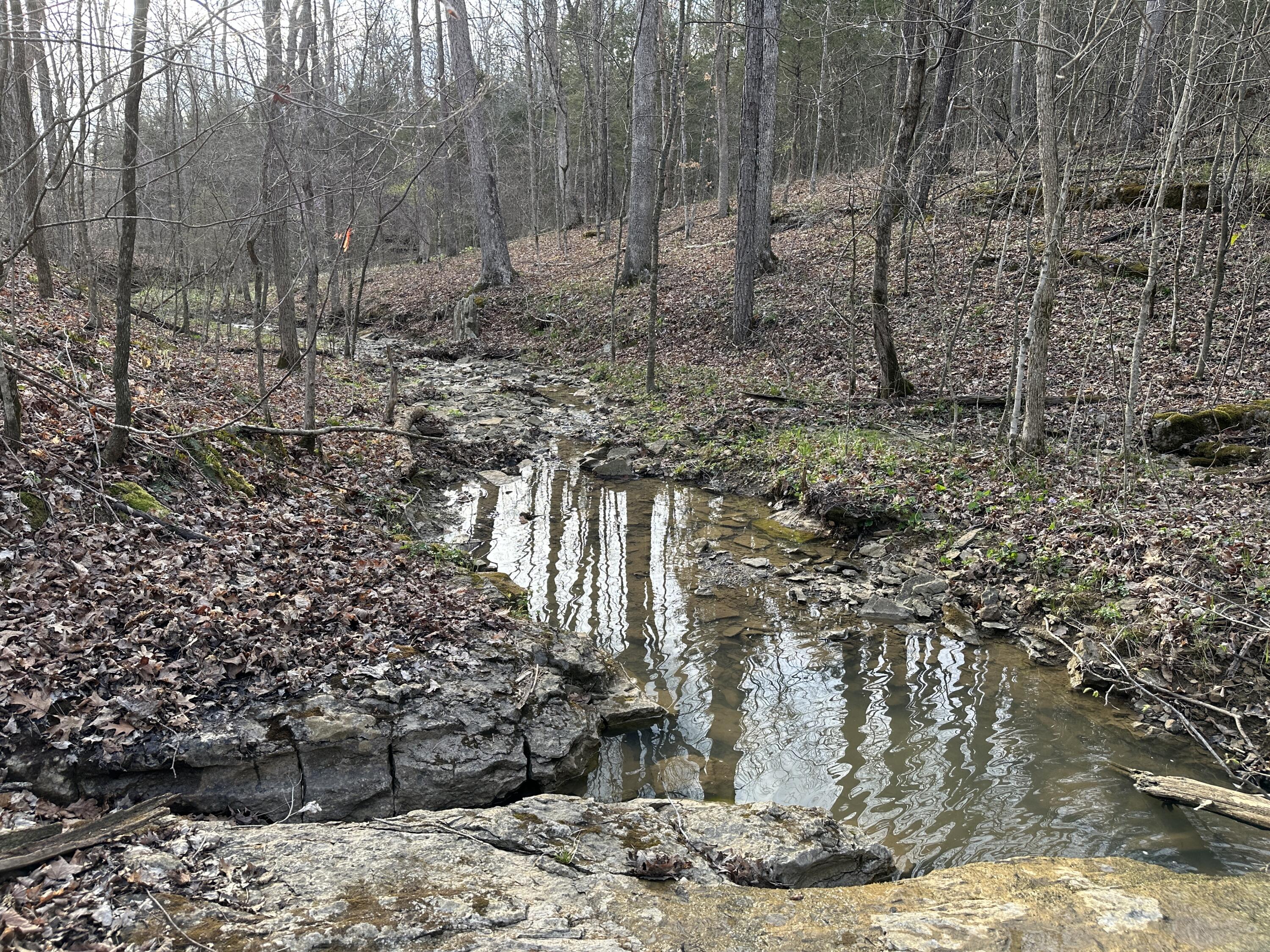 2a Riverside Benleo Road Property Photo 17