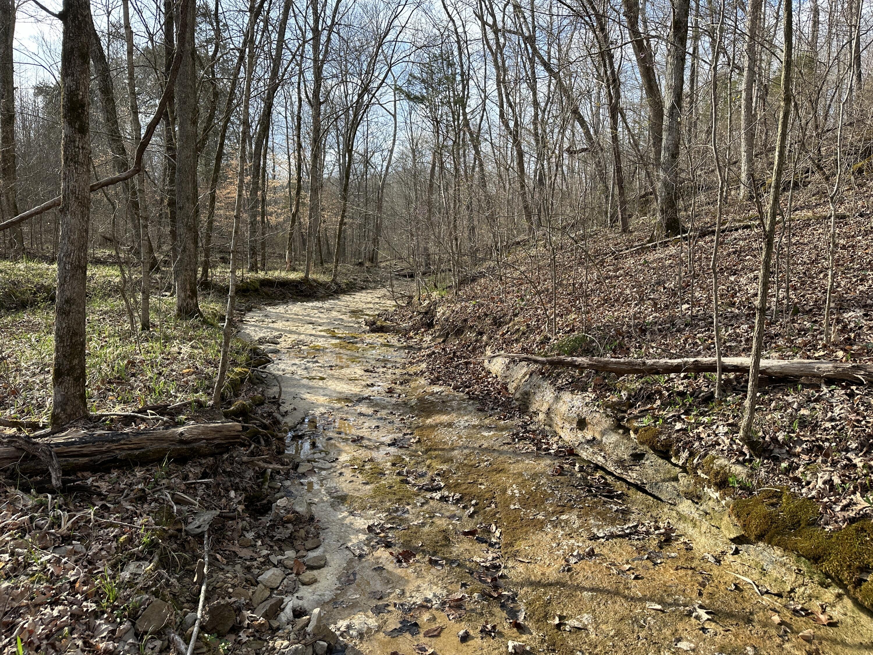 2a Riverside Benleo Road Property Photo 18