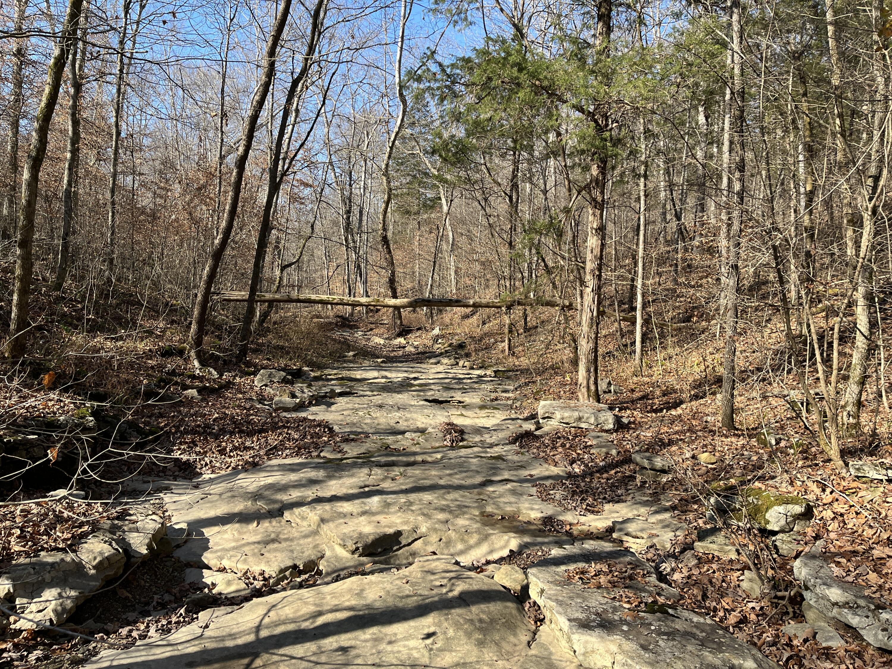 2a Riverside Benleo Road Property Photo 19