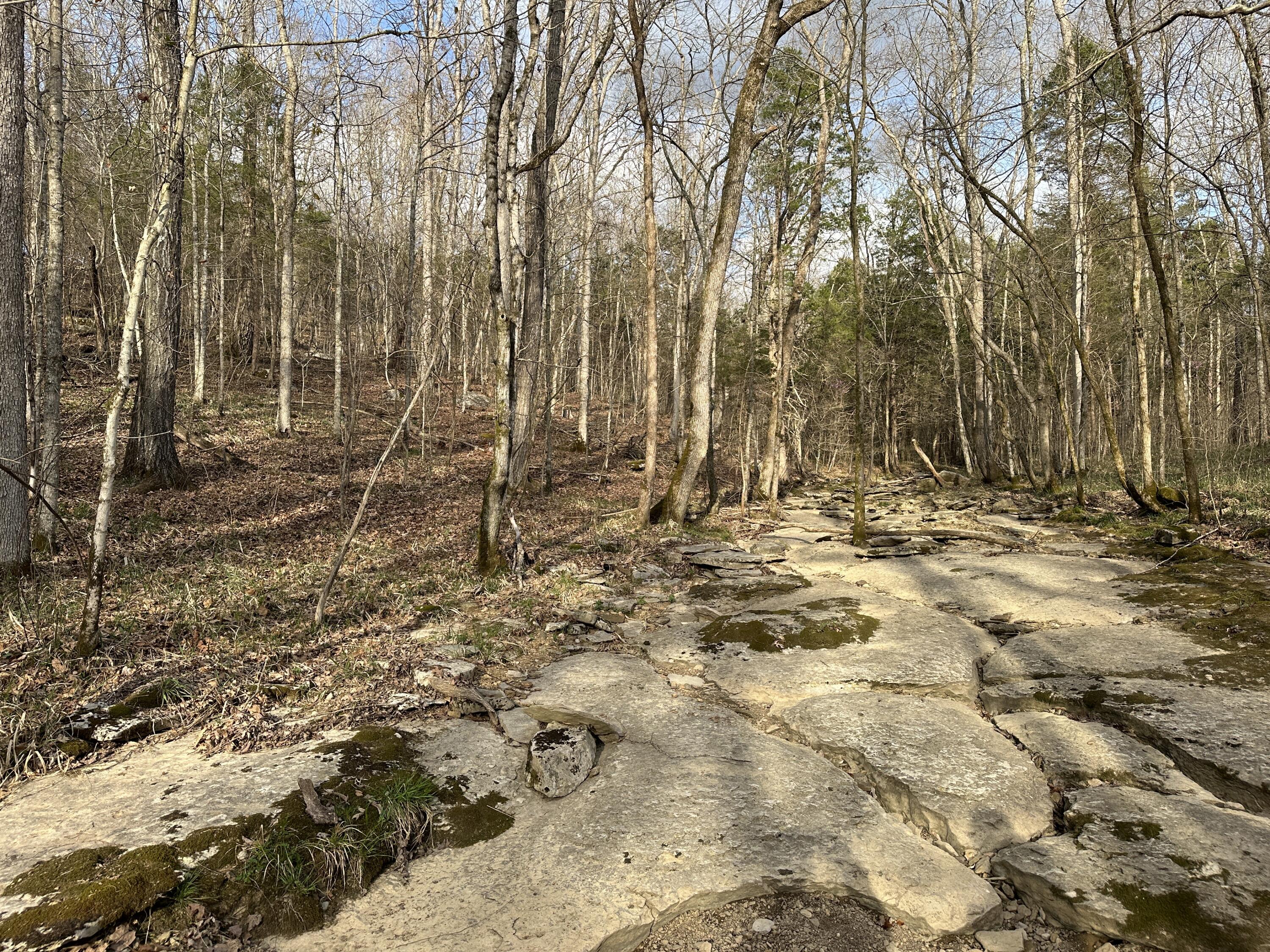 2a Riverside Benleo Road Property Photo 20
