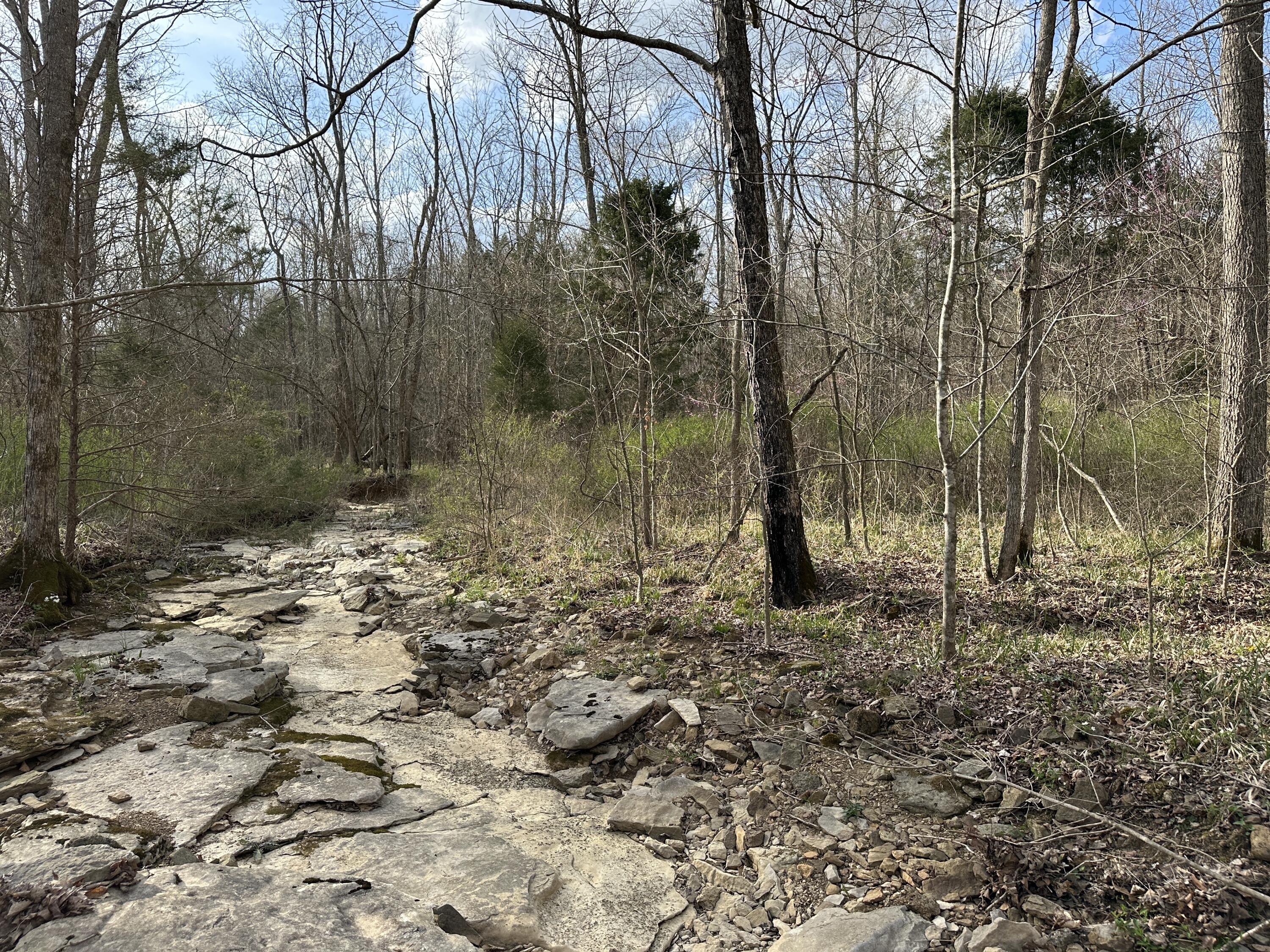 2a Riverside Benleo Road Property Photo 21
