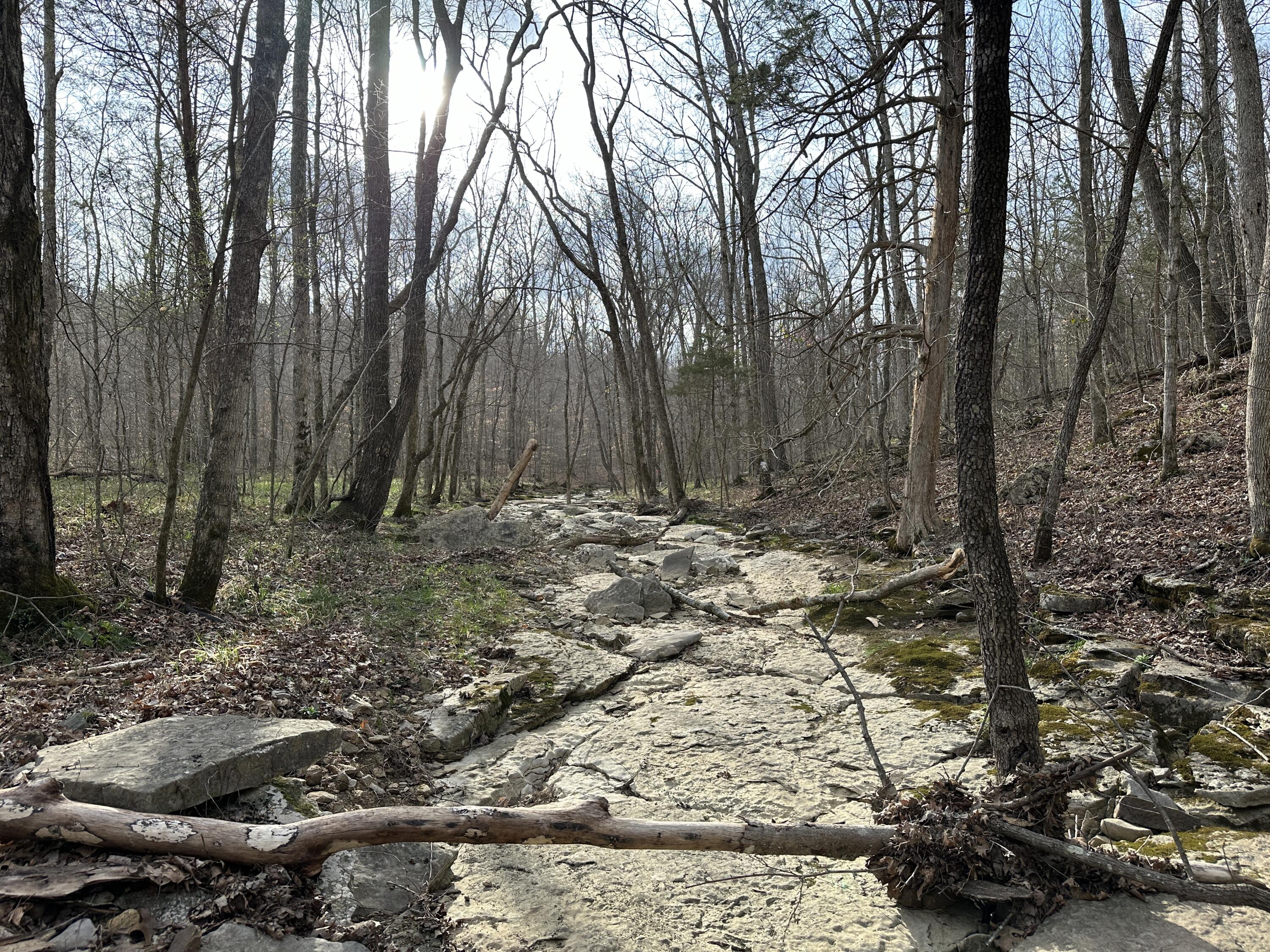 2a Riverside Benleo Road Property Photo 22