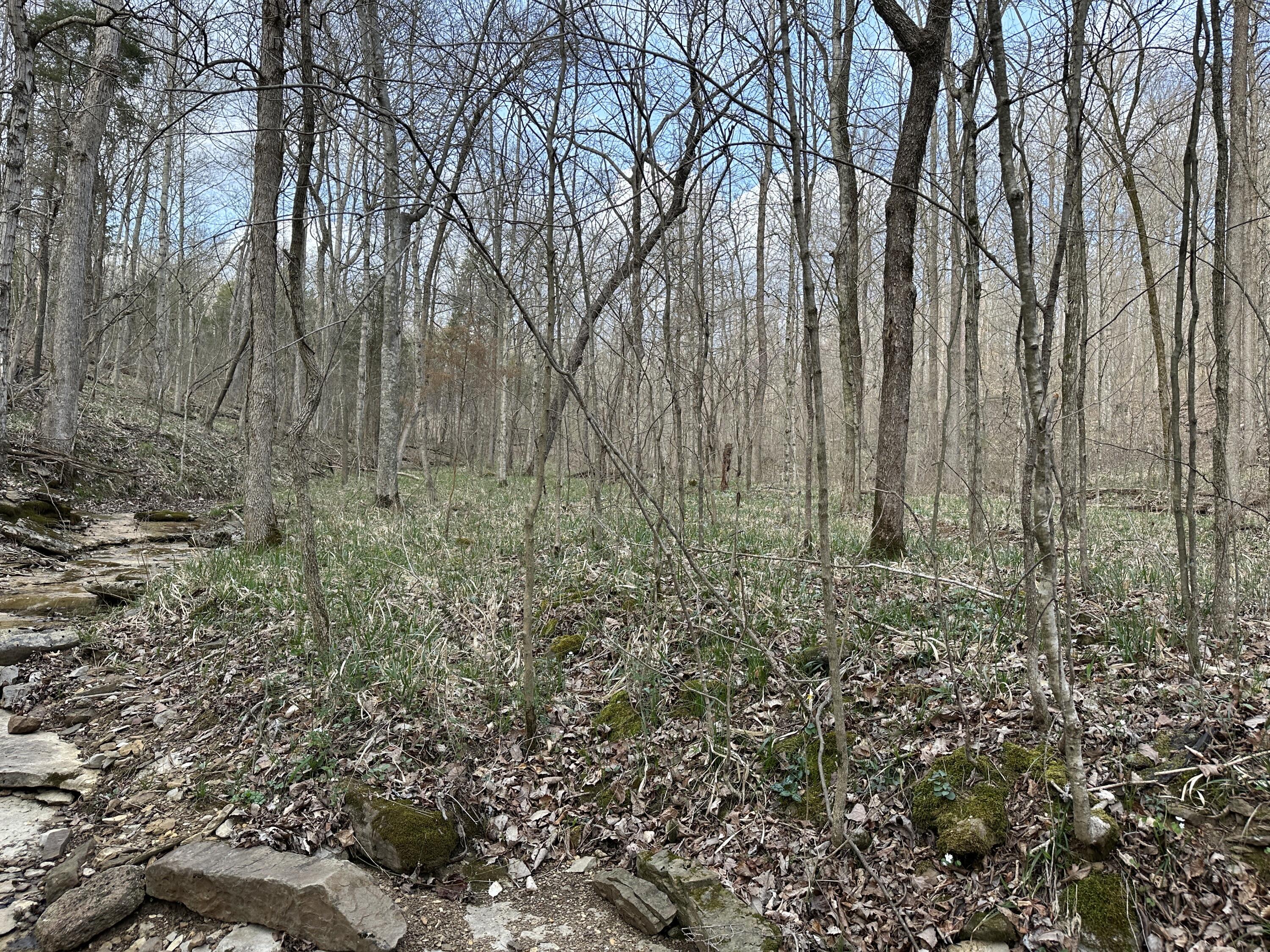 2a Riverside Benleo Road Property Photo 23