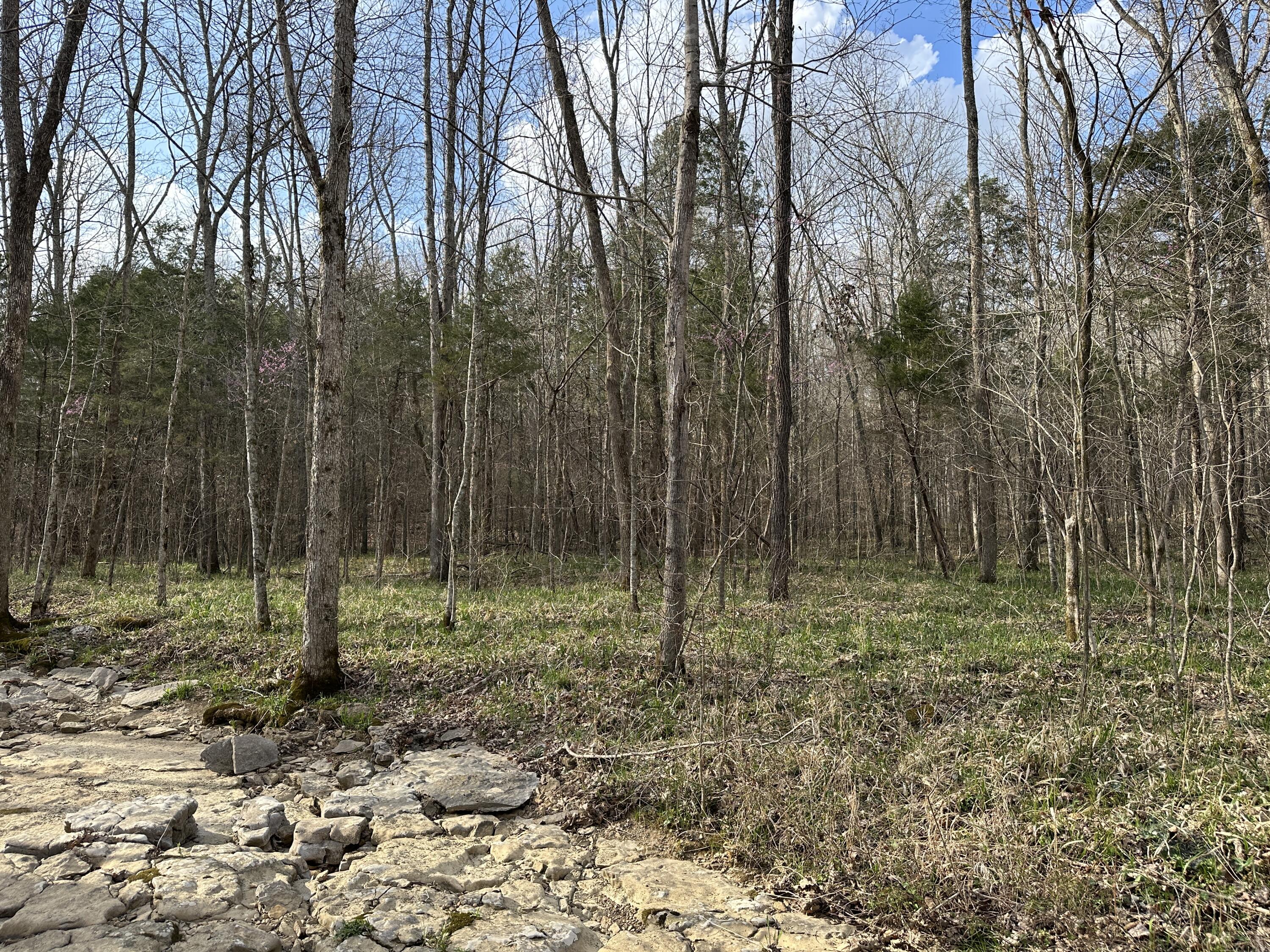 2a Riverside Benleo Road Property Photo 24
