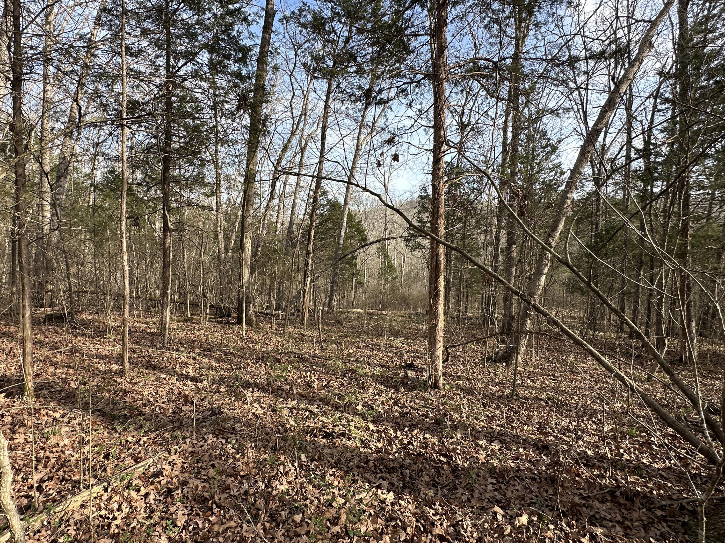 2a Riverside Benleo Road Property Photo 25