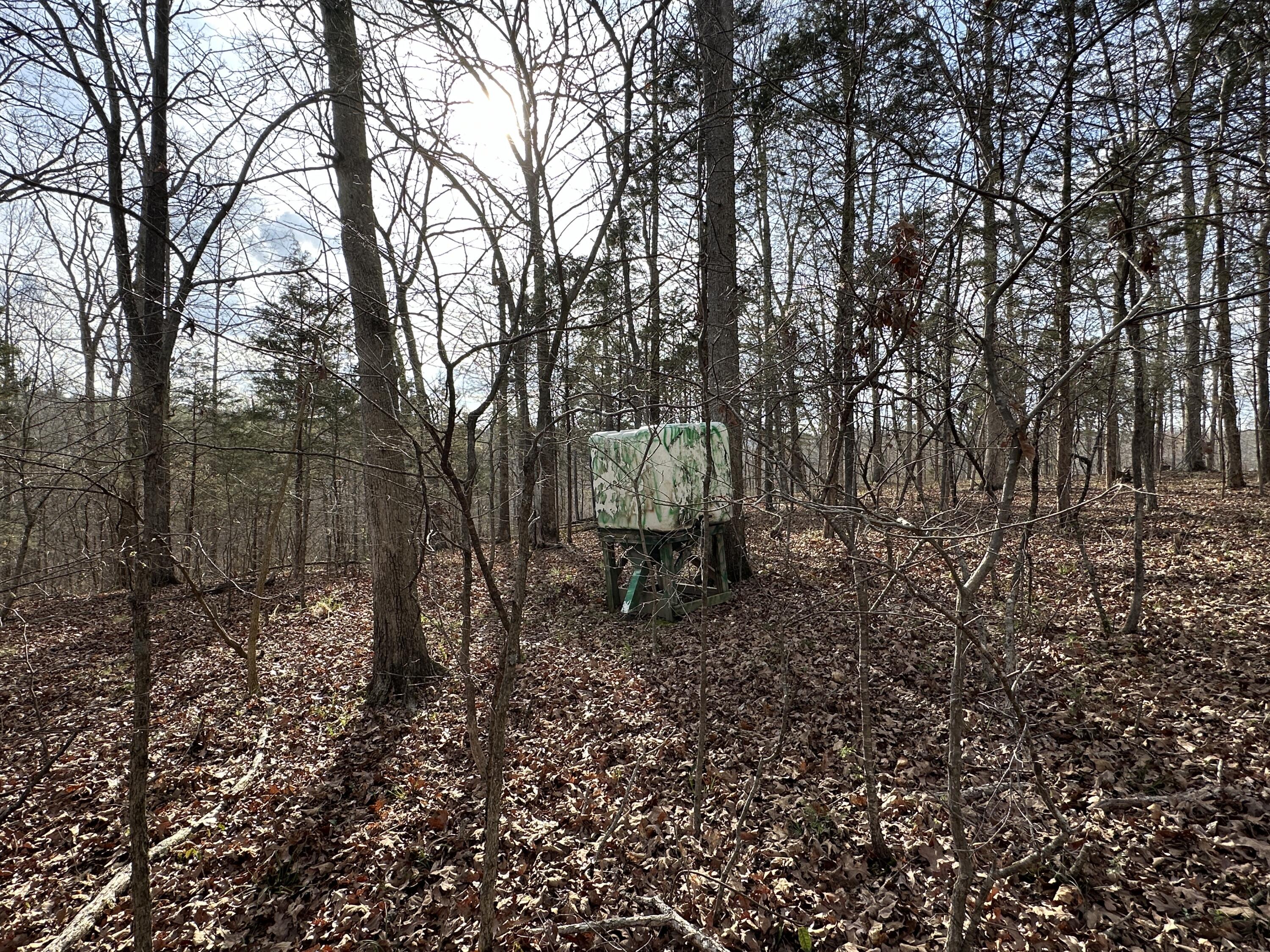 2a Riverside Benleo Road Property Photo 26