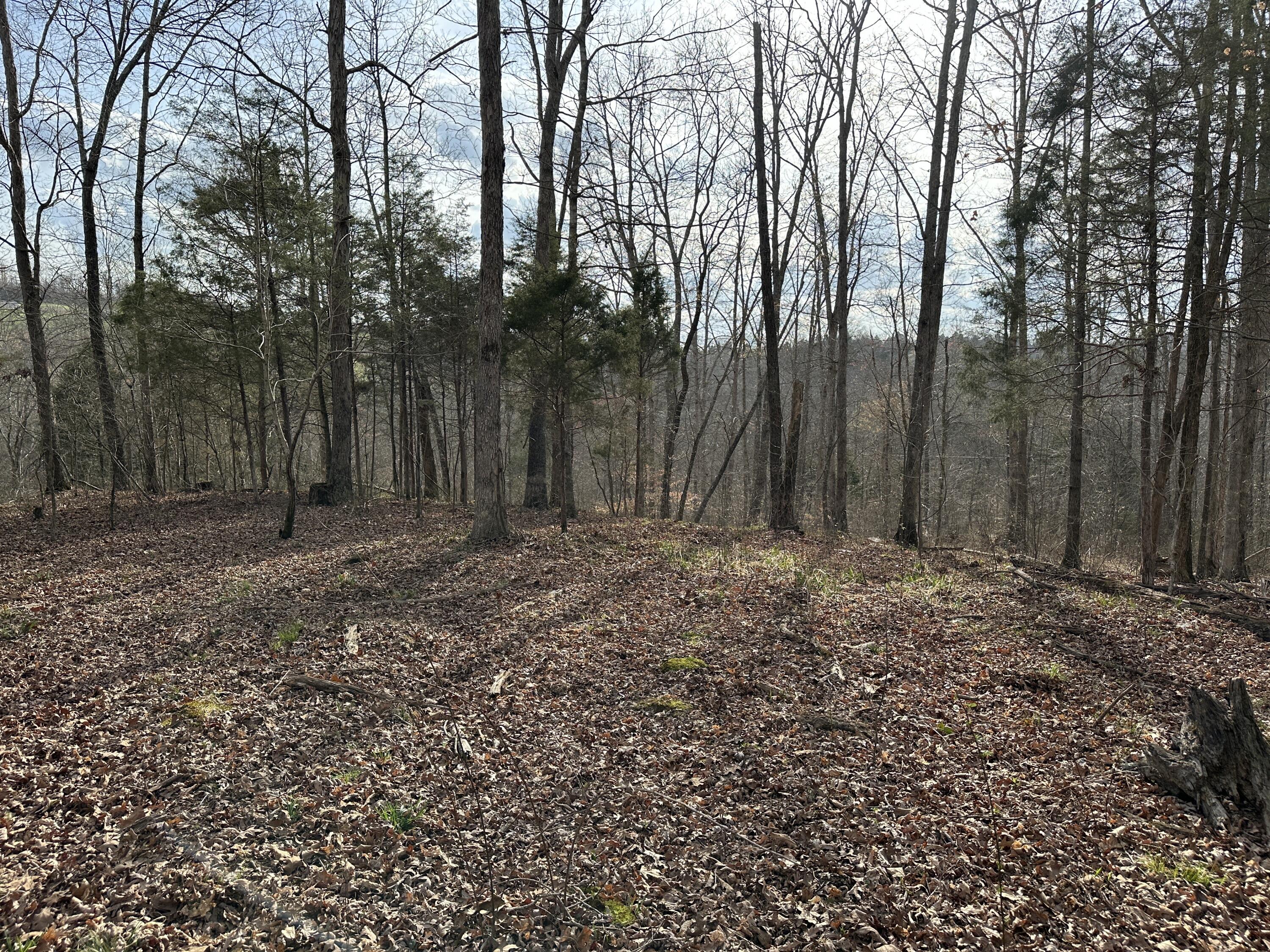 2a Riverside Benleo Road Property Photo 27