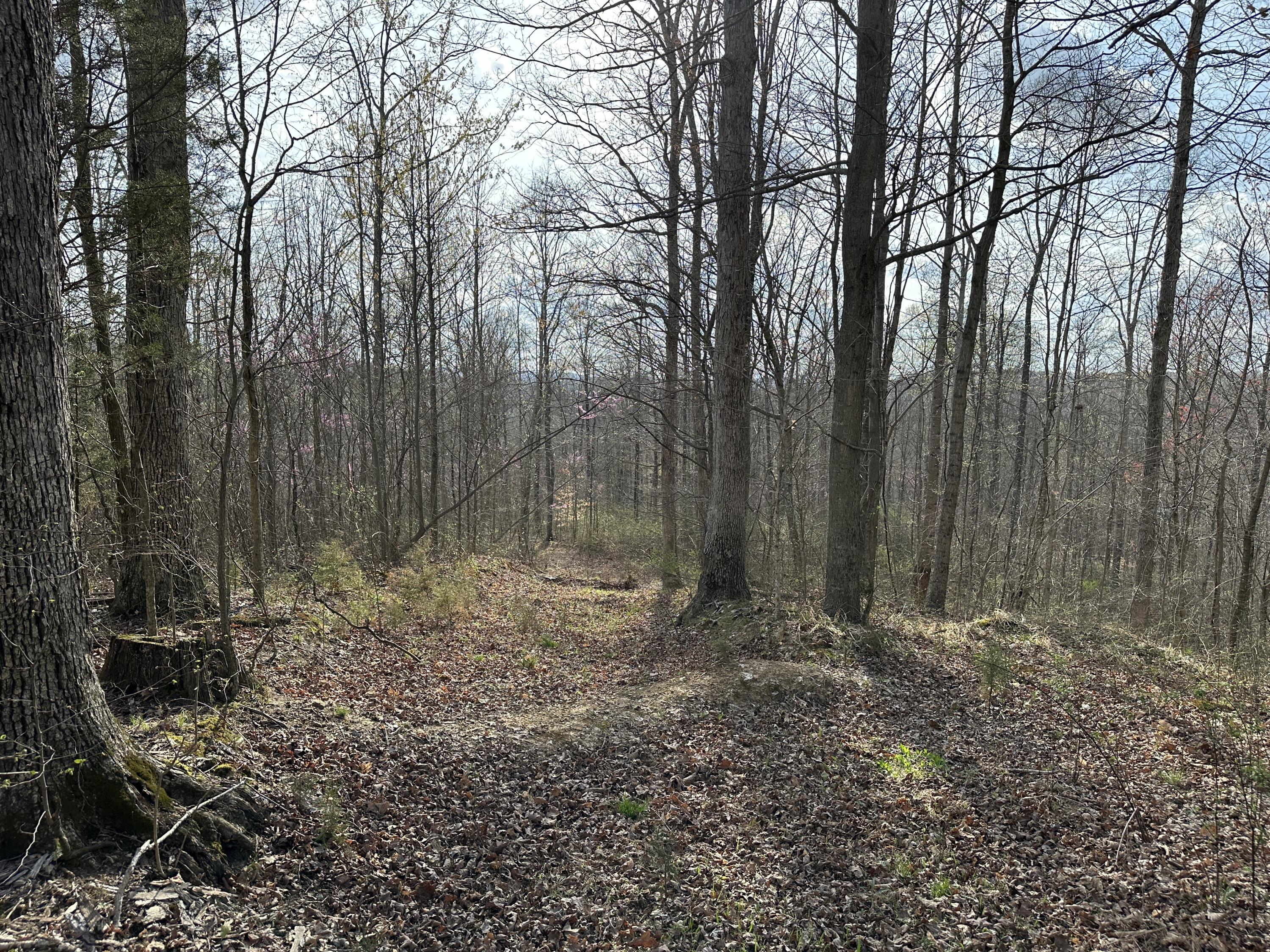 2a Riverside Benleo Road Property Photo 28