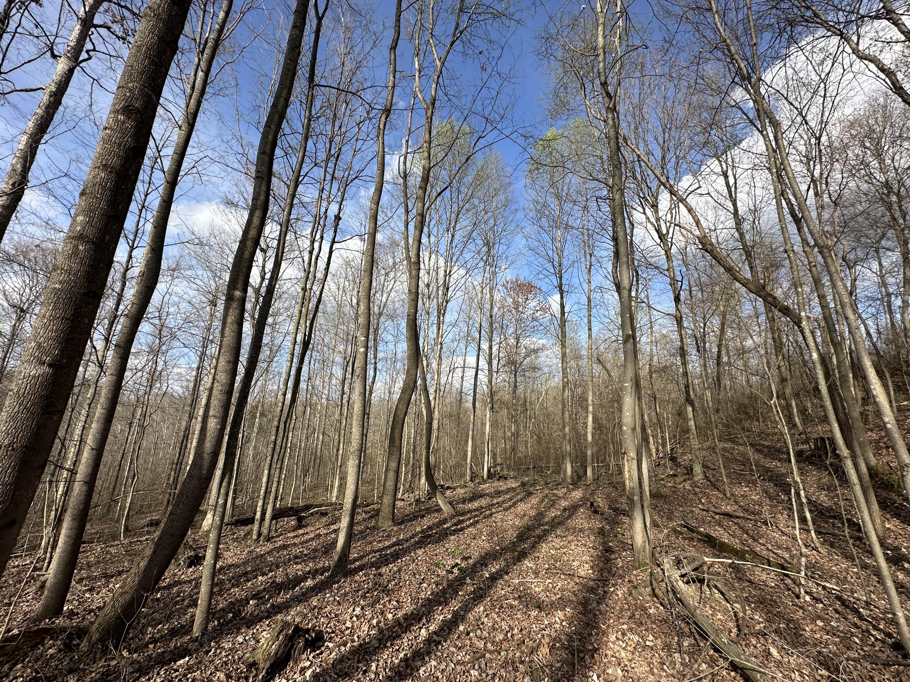 2a Riverside Benleo Road Property Photo 29