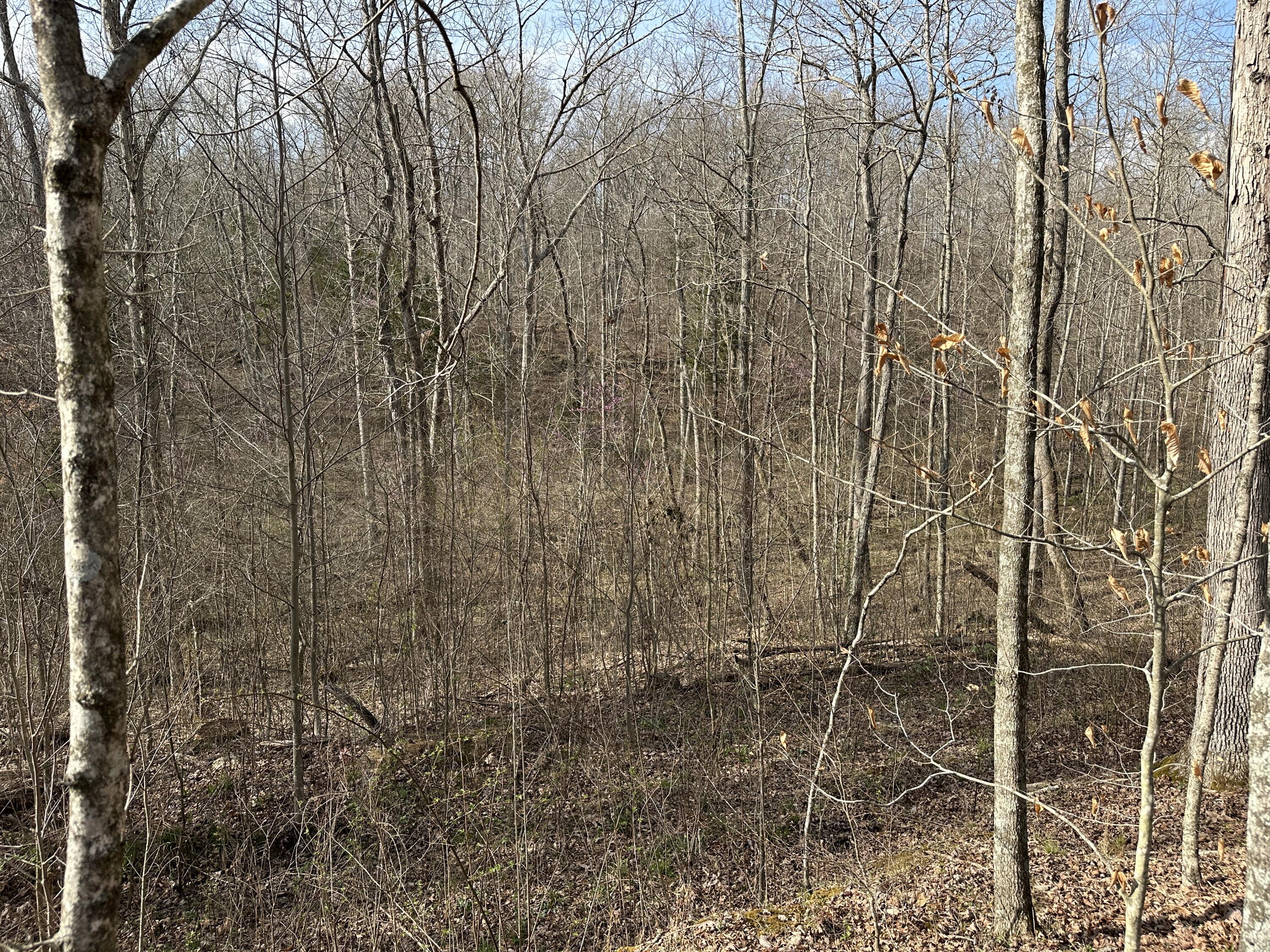2a Riverside Benleo Road Property Photo 30