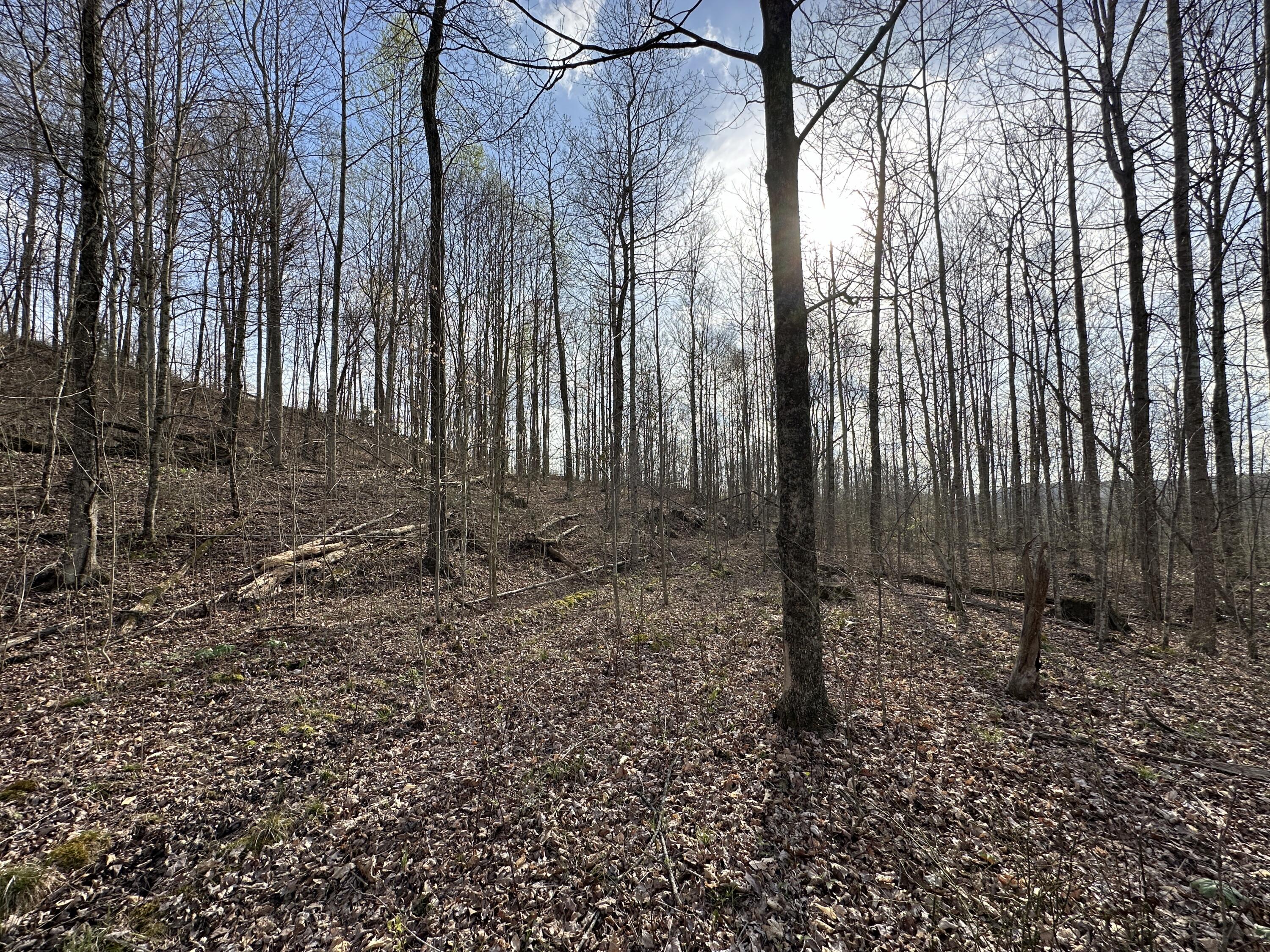 2a Riverside Benleo Road Property Photo 31